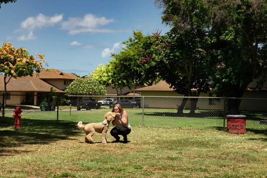 woman playing with dog at dog park