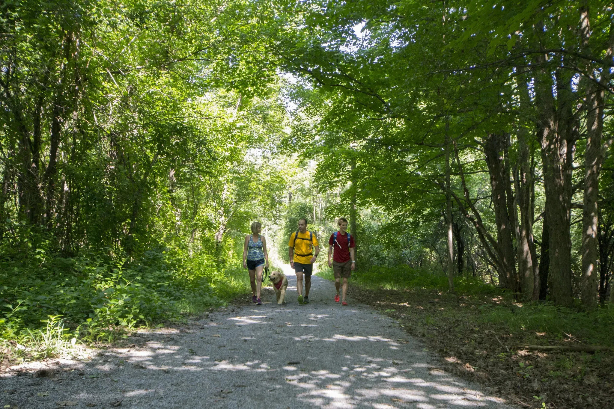 Walking trail and greenspace with people walking