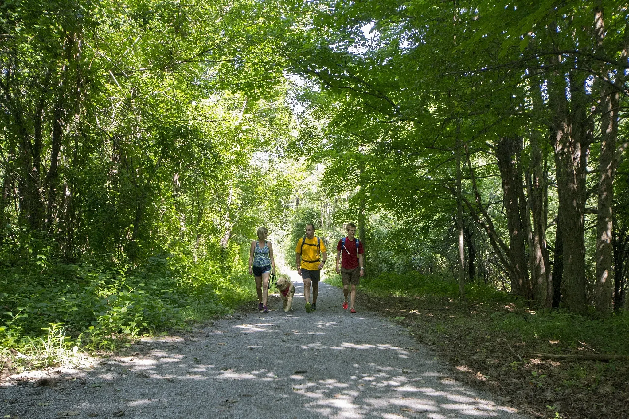 people walking on a trail