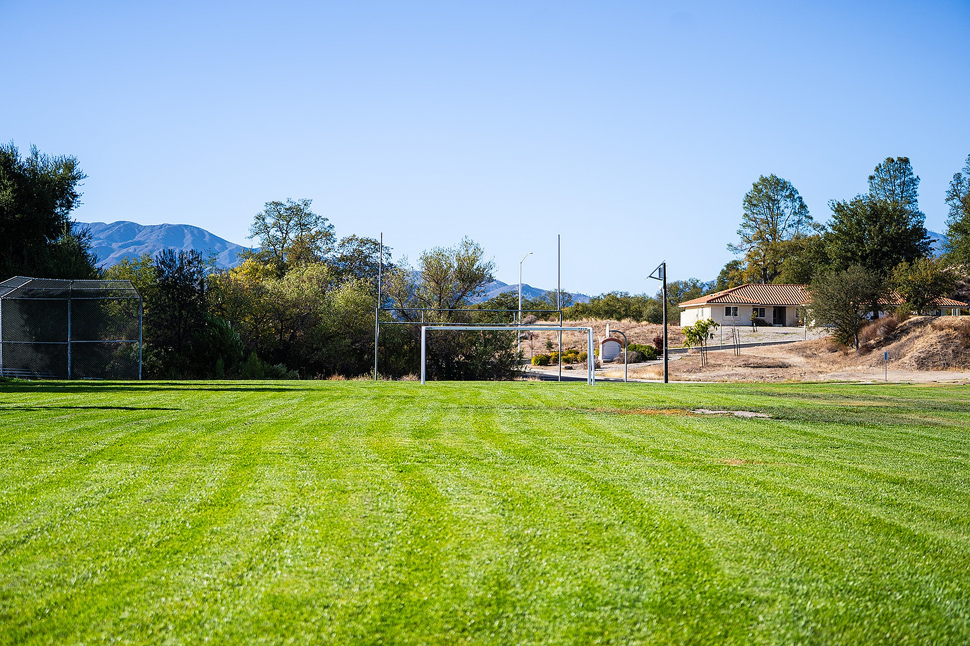 soccer field
