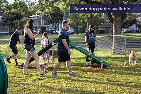 Dog Park | Pet Friendly | Community Amenity | Island Palm Communities | Rental Homes in Mililani