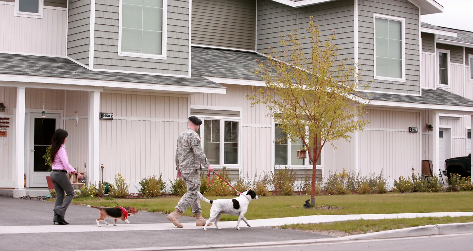 Couple walking their dogs