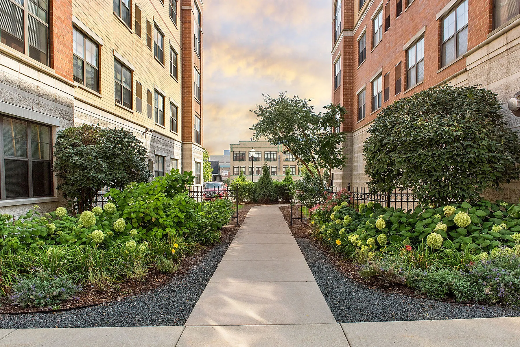 Charming apartment courtyard lined with lush greenery and flowering shrubs, nestled between elegant brick buildings.