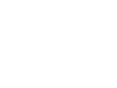 LightHorse 4041
