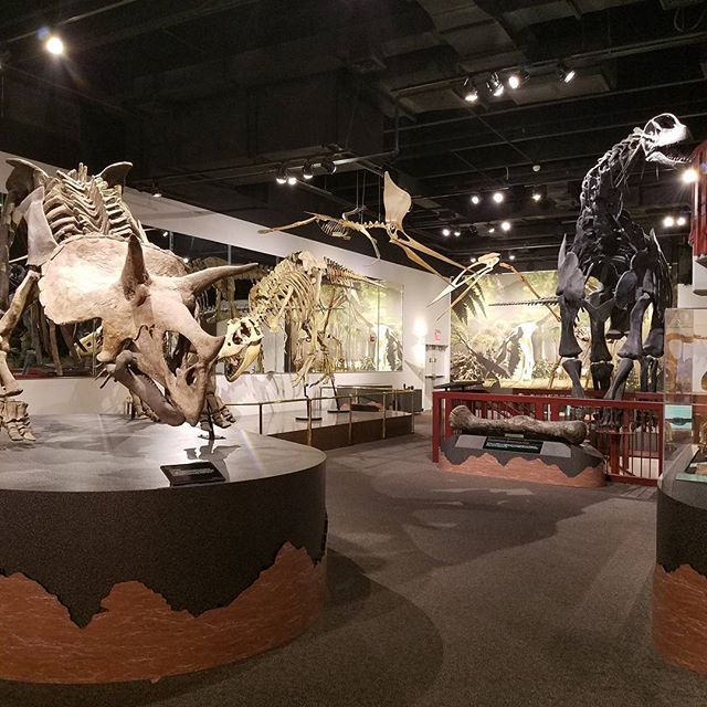 Virtual History Tour: A Guide to Mesa’s History-image