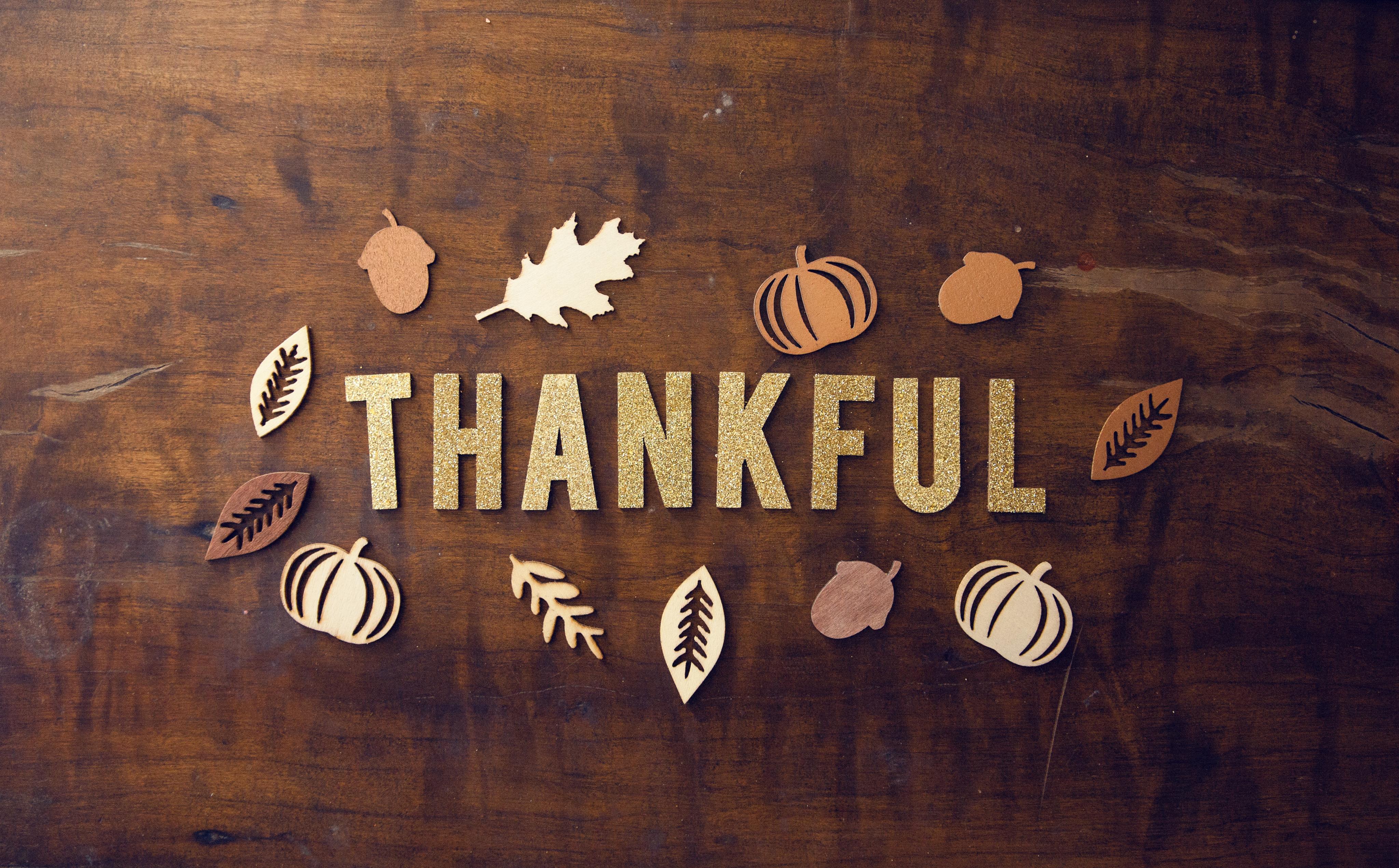 Thankful Tree Craft-image