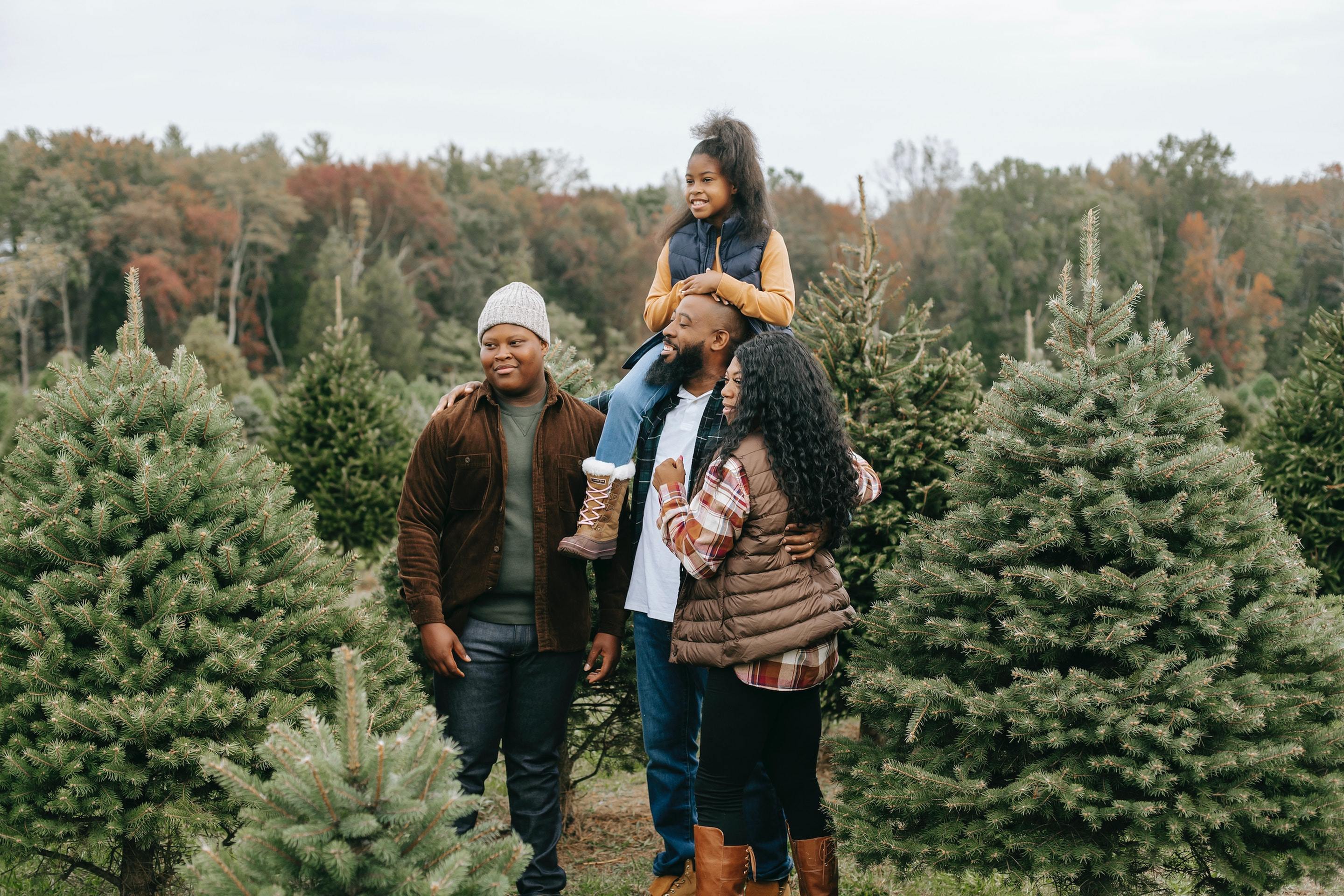 Christmas Tree Farms in Clark County-image