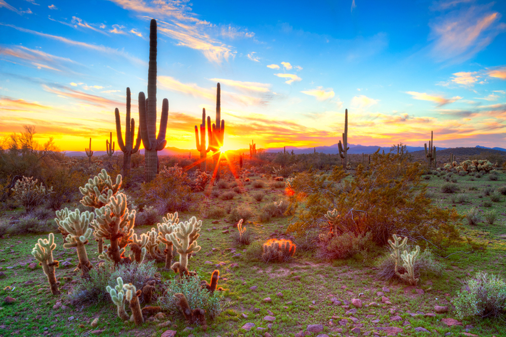 Guide to Living in Goodyear-image