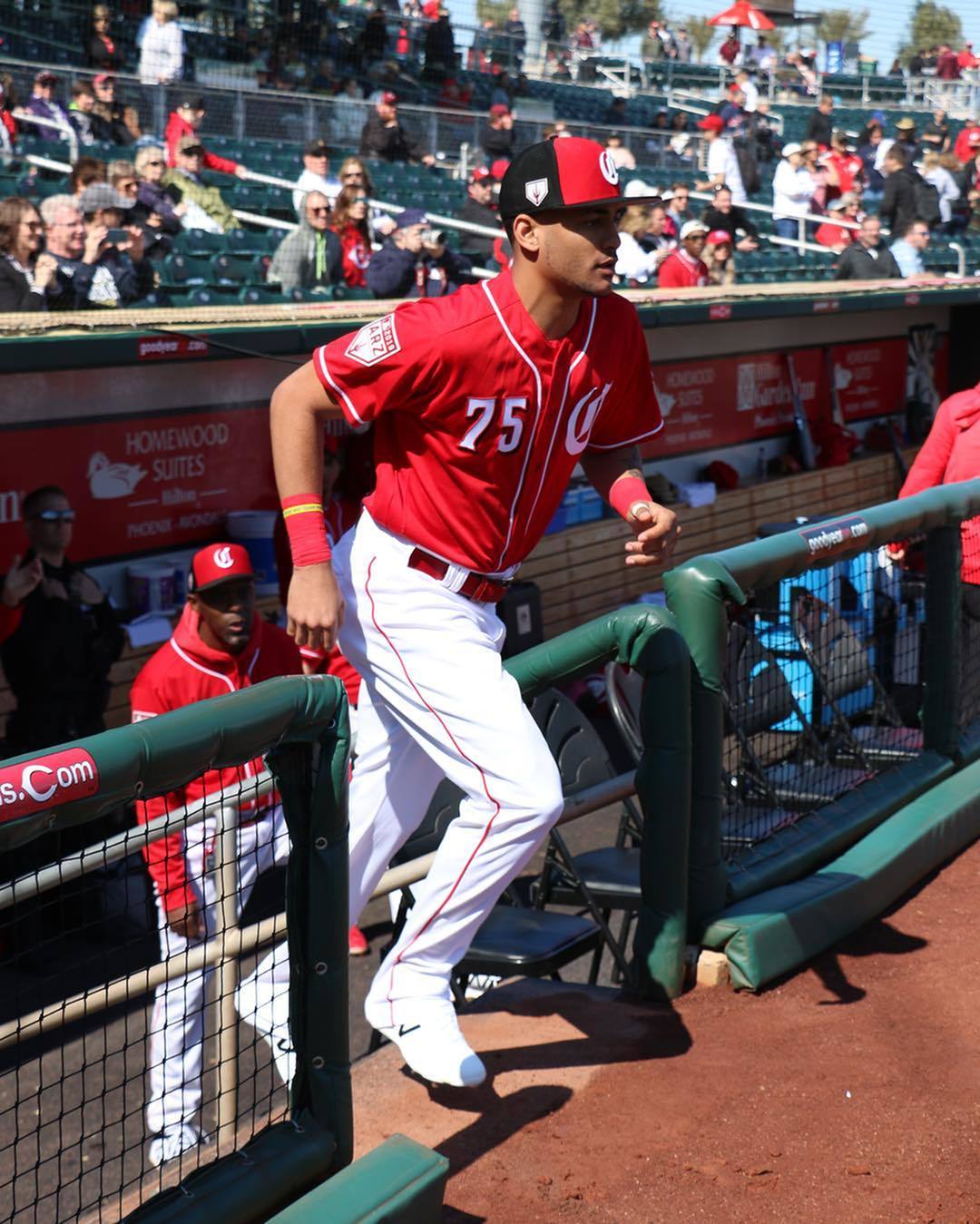 Catch A Spring Training Game at the Goodyear Ballpark-image
