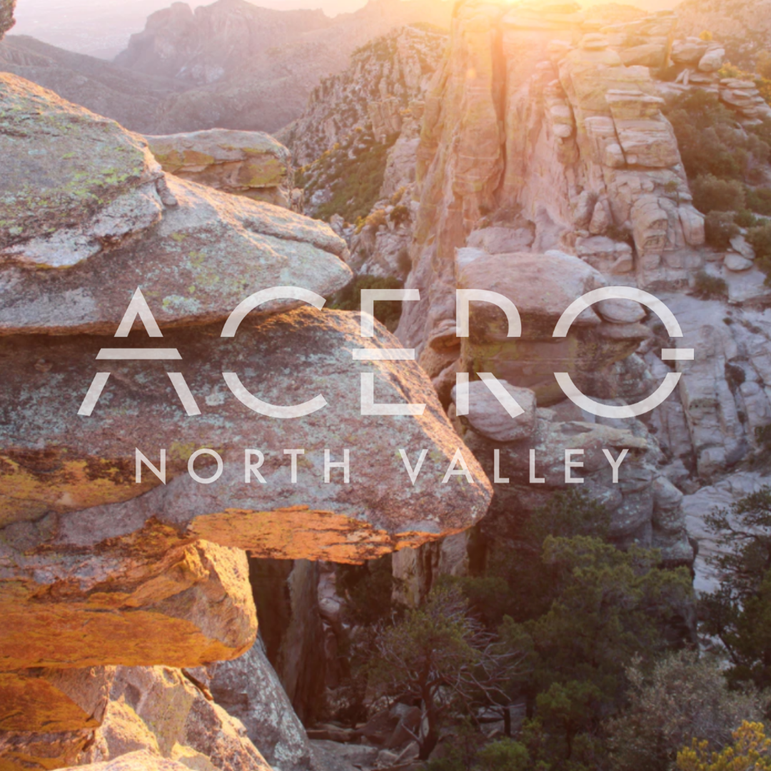 A Note from Acero North Valley on COVID-19-image