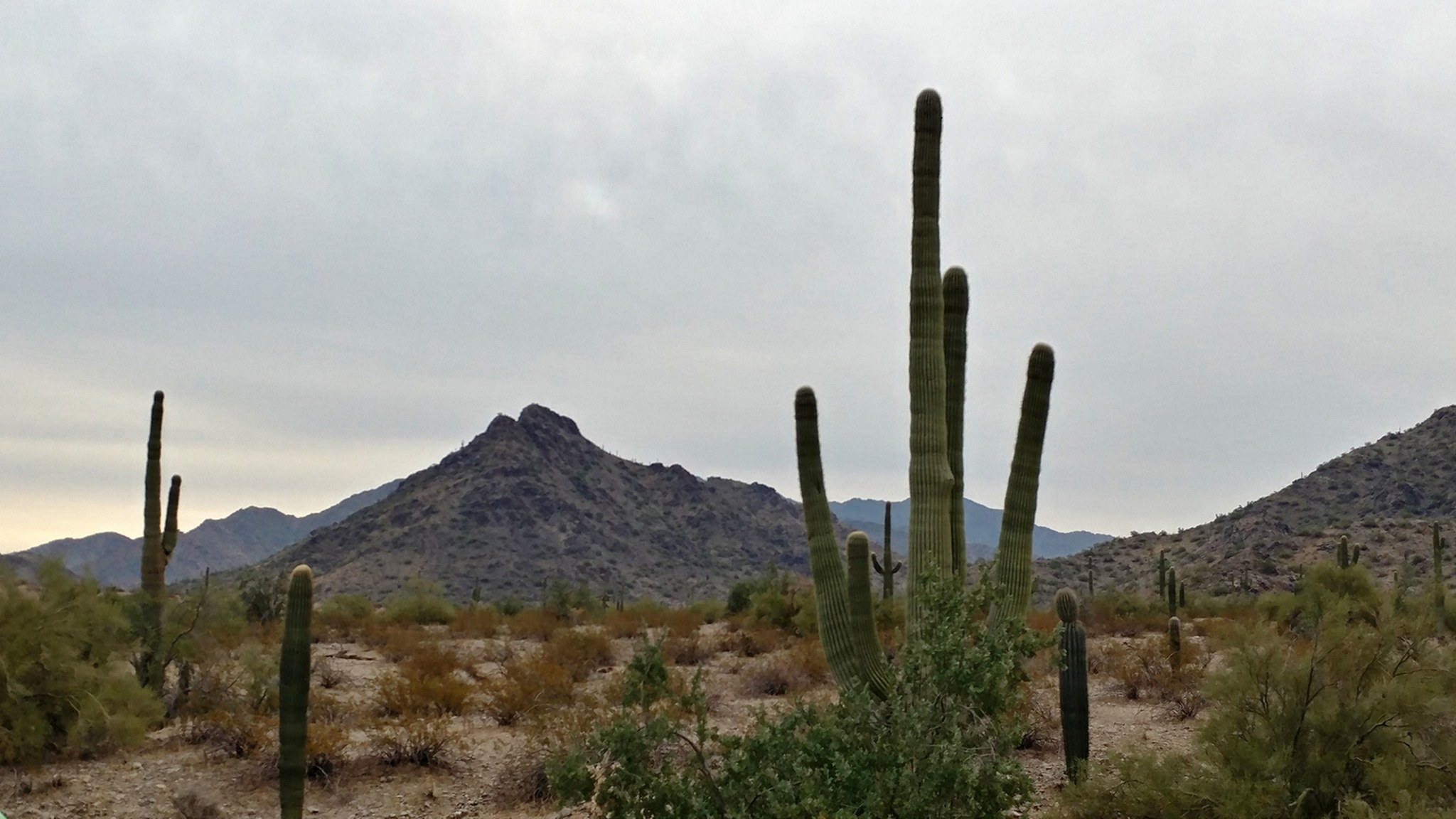 Spring Outdoor Adventures Near Goodyear-image