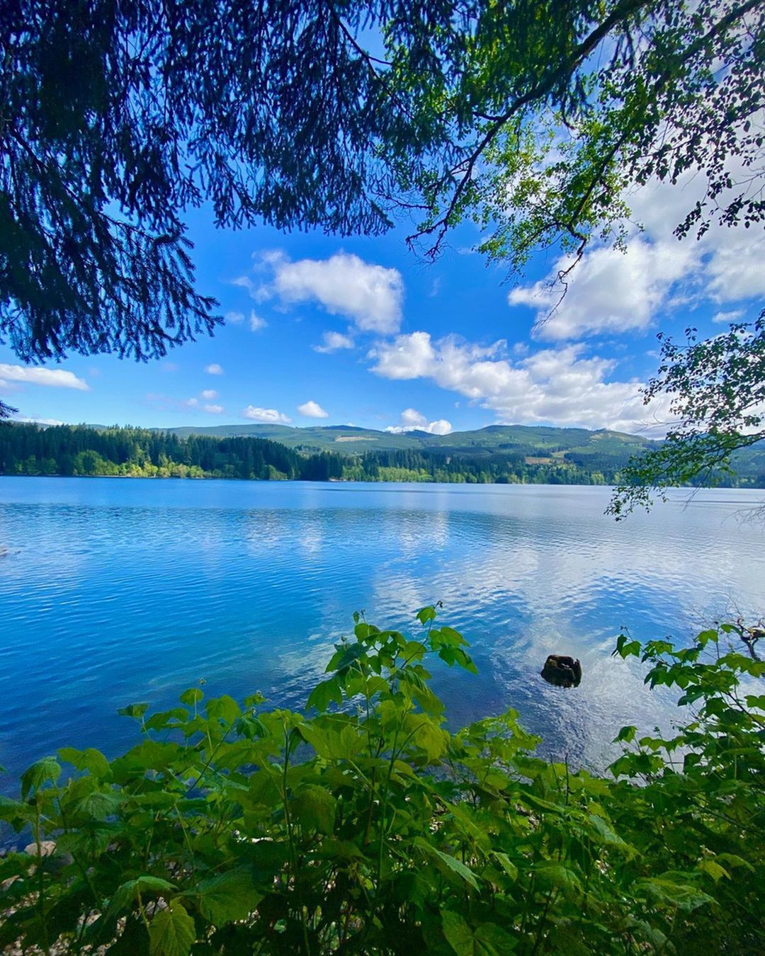 Keeping cool this summer: Lakes and Rivers near Vancouver WA-image