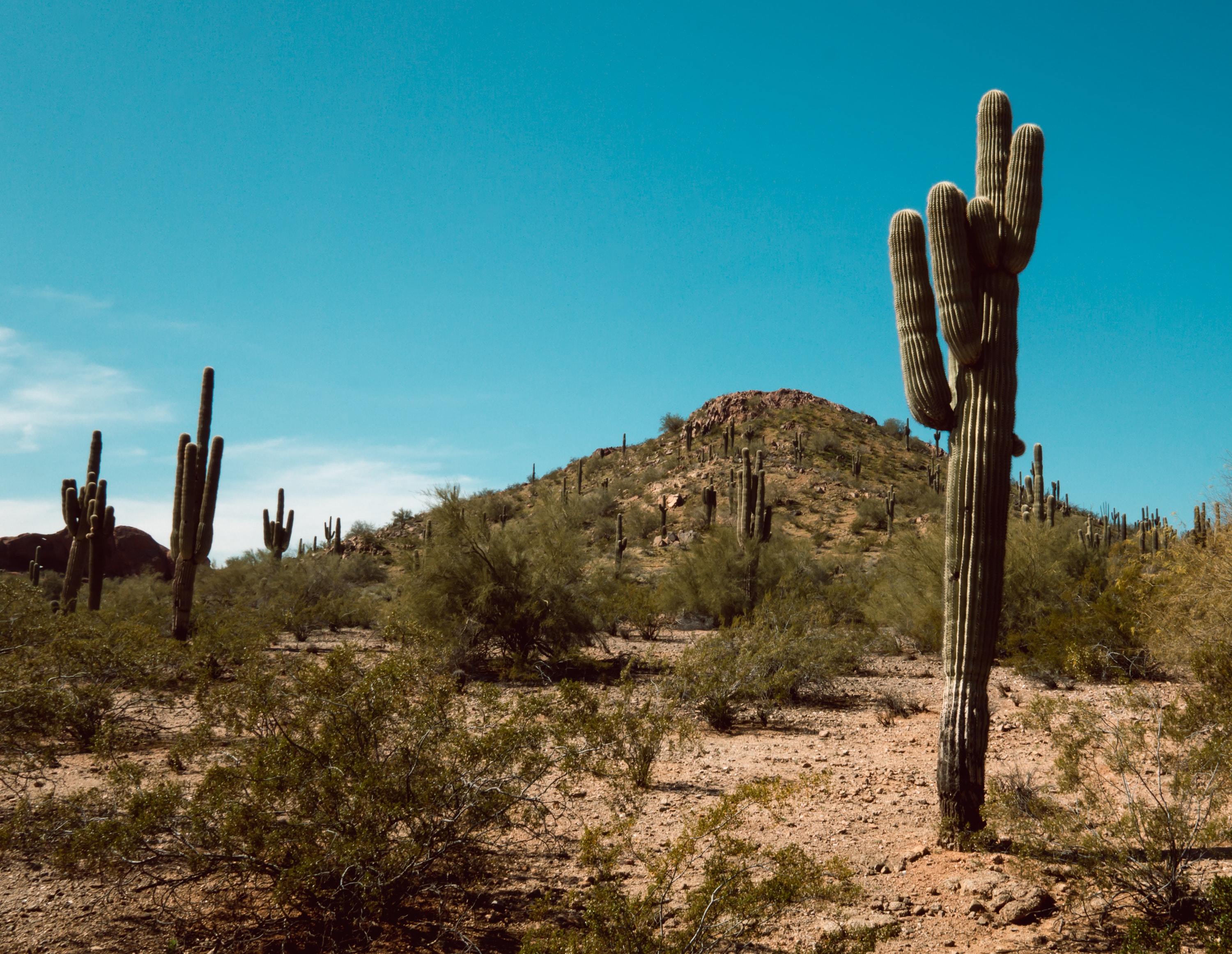 Reduce Your Screen Time and Disconnect | Parks in Gilbert, AZ-image