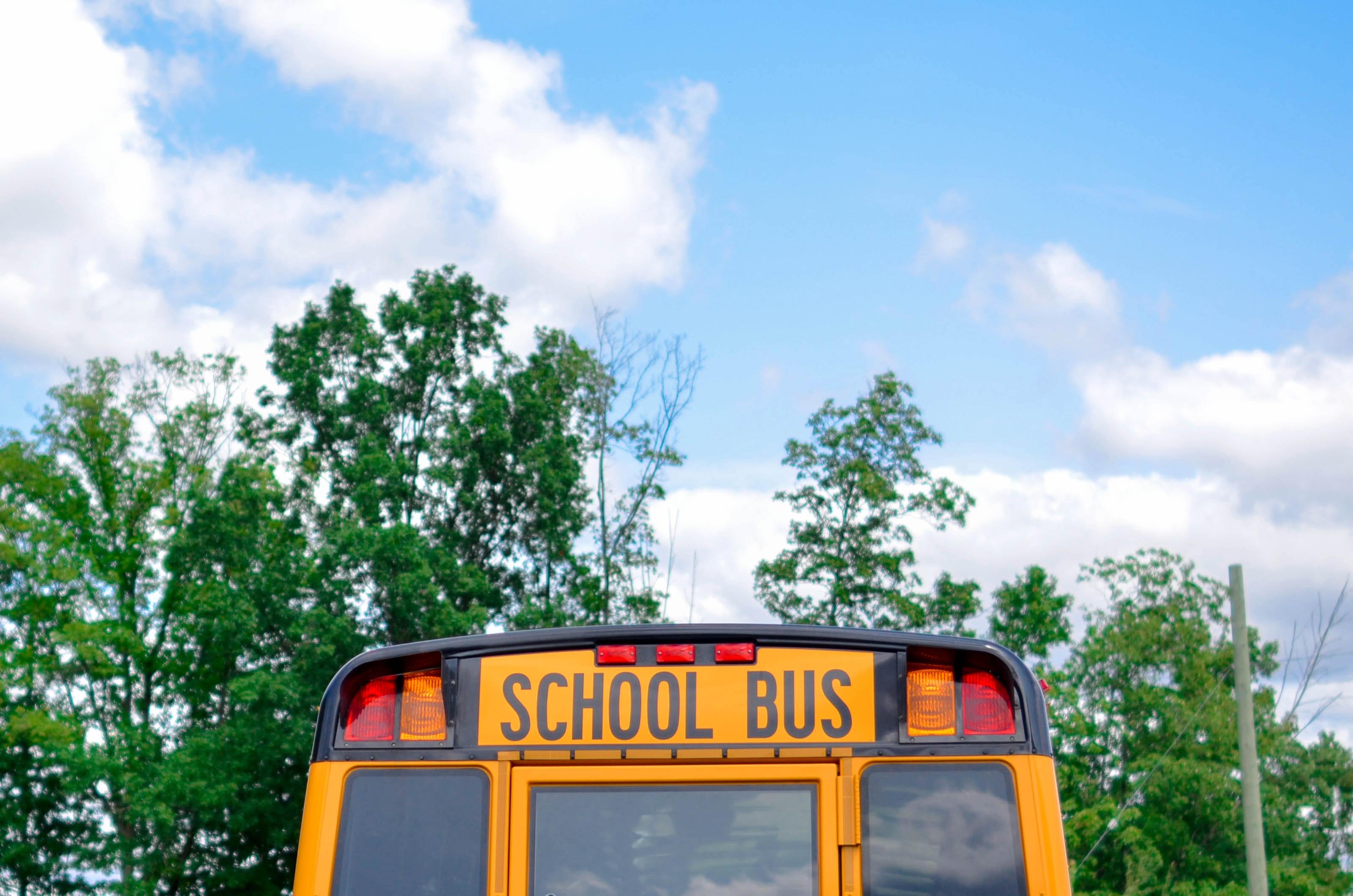 Back to School Guide-image