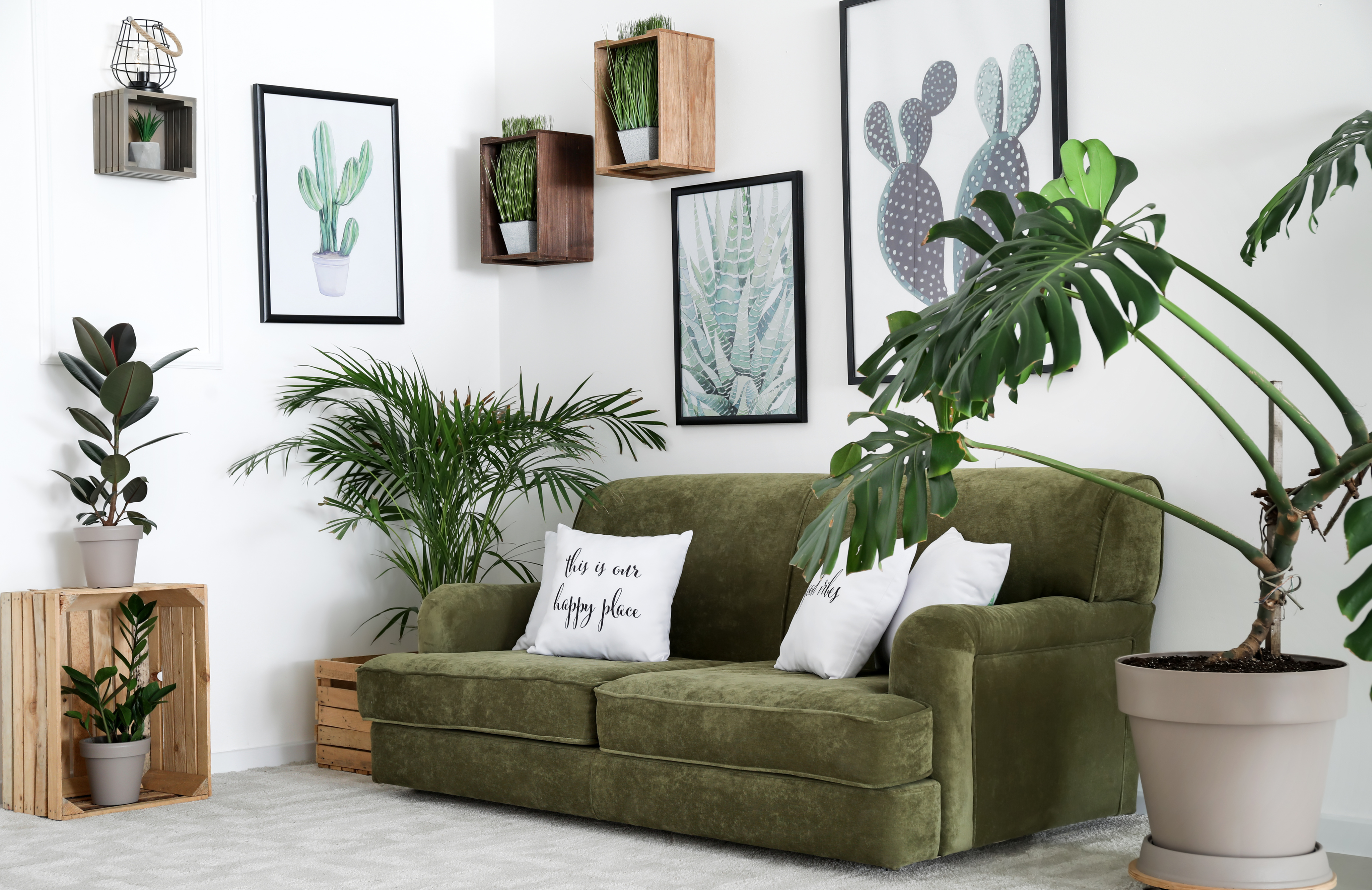Furniture Stores in Glendale to Help You Reimagine Your Living Space-image