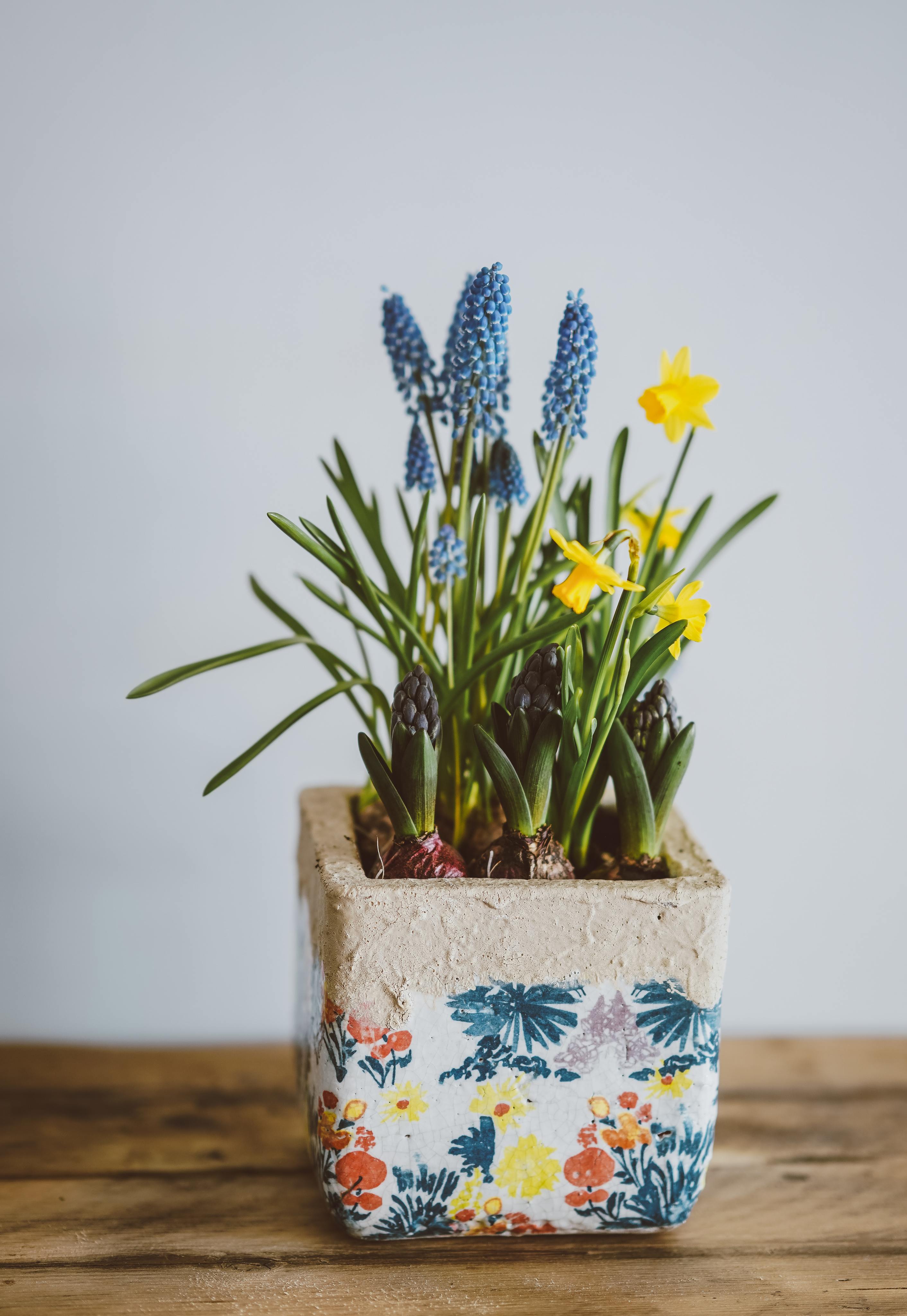 Crafty Ideas for At-Home Art-image