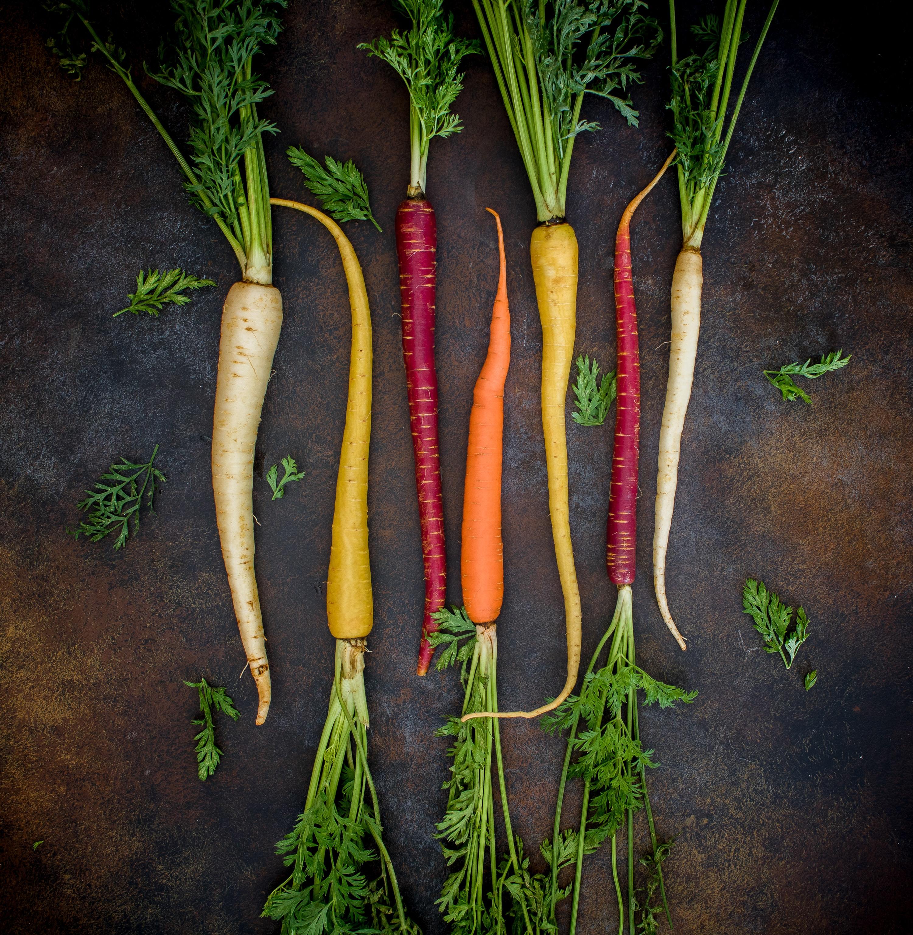Apartment Gardening: Fall Veggies for Indoor Containers-image