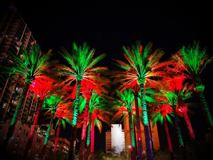 Holiday Fun Near Meritum Sonoran Desert: The Best Things to Do in North Phoenix This Season-image