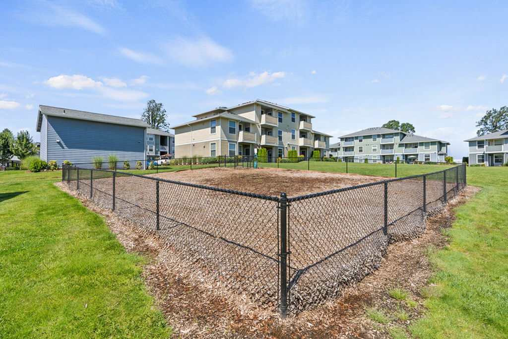 enclosed dog park with bark