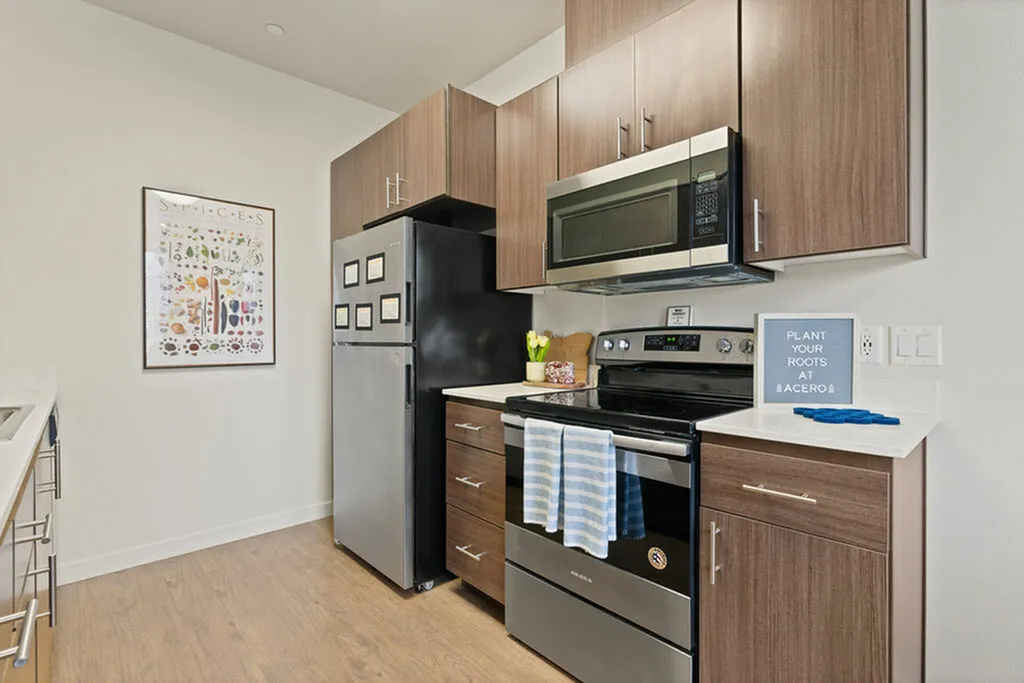 Stainless Steel Appliances
