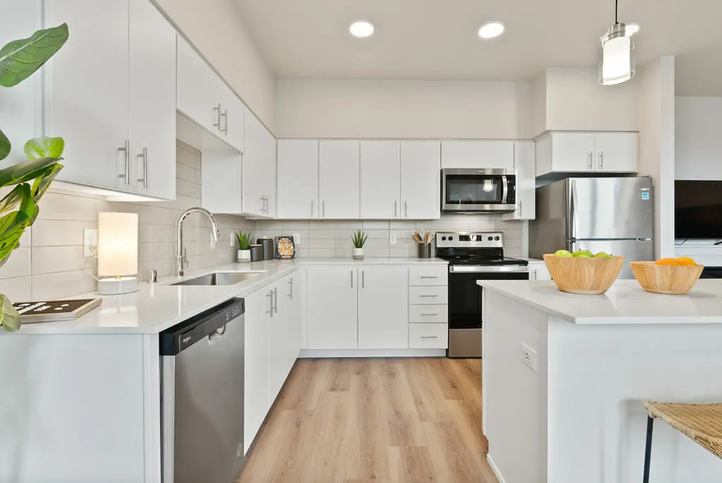 Stainless Steel Appliances