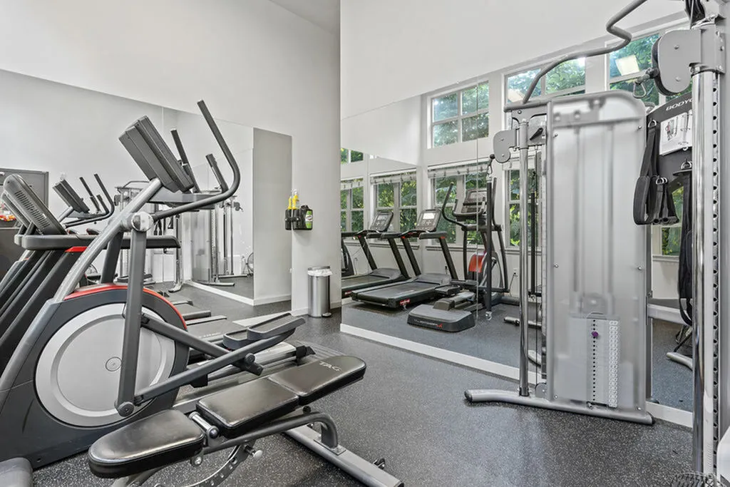 Bright and spacious apartment gym with modern cardio and strength equipment.
