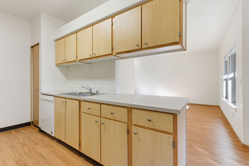 Bright and airy kitchen with modern light wood cabinets, spacious countertops, and warm hardwood floors flowing into a sunlit open living area.