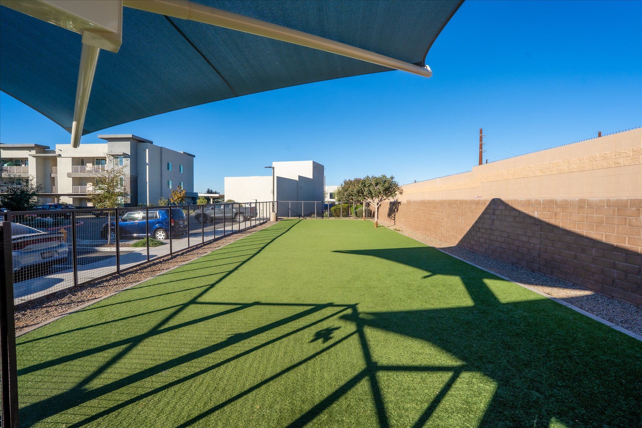 Spacious outdoor pet park with lush green grass, shaded seating, and modern apartments in the background.