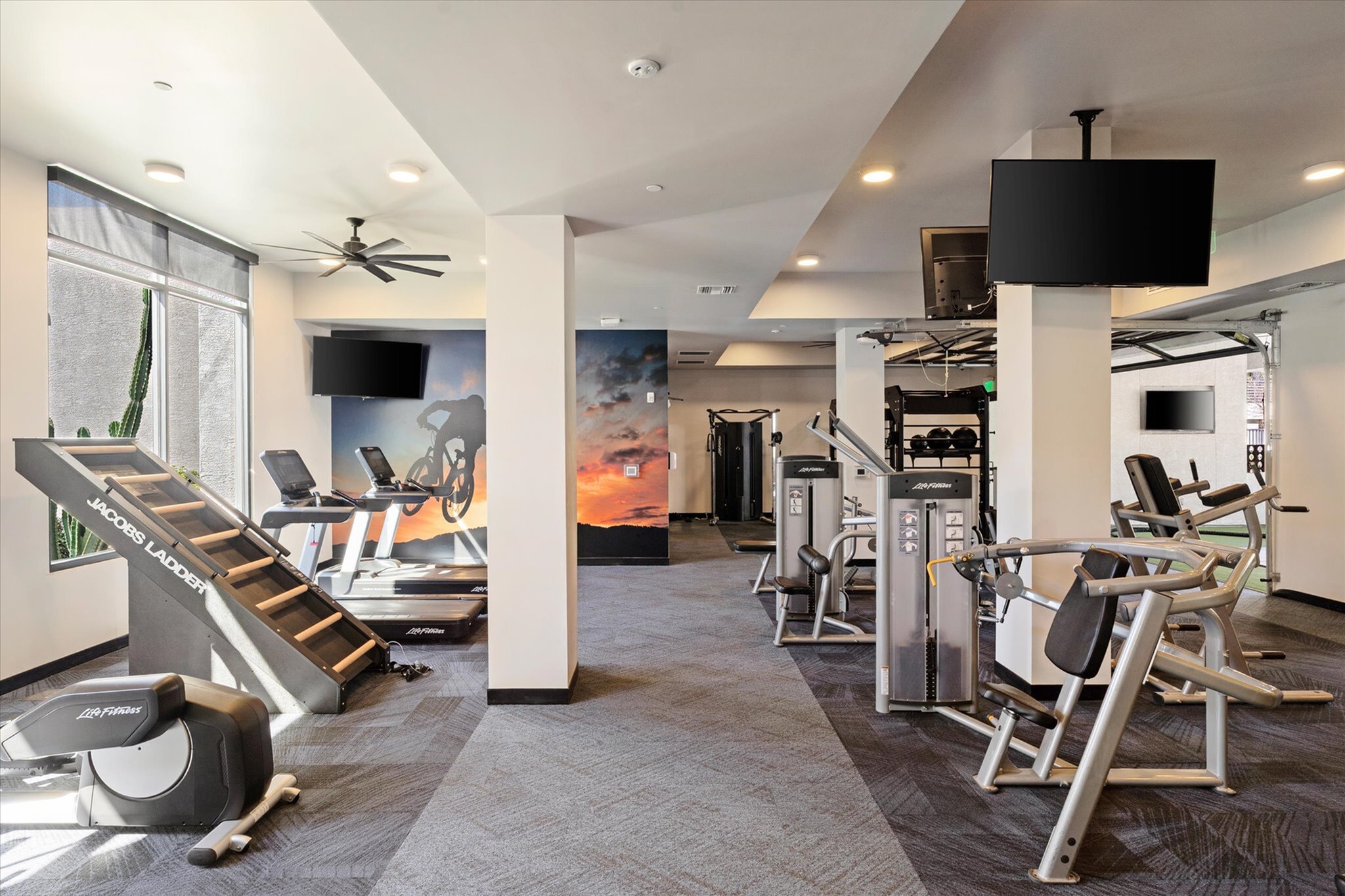 Modern fitness center equipped with state-of-the-art exercise machines, cardio stations, and inspiring wall art in a bright, open space.