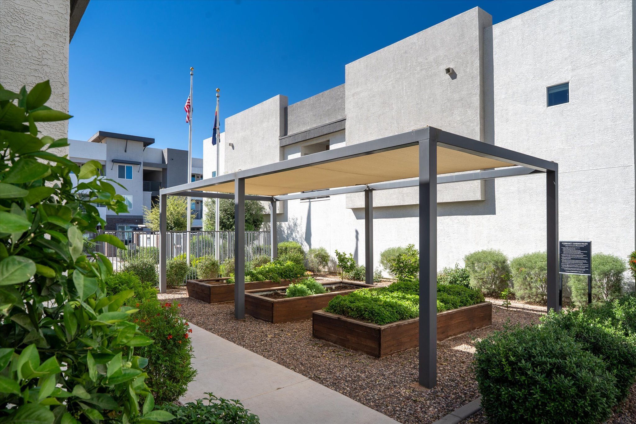 Charming community garden with raised planters and a pergola under a clear blue sky, enhancing the apartment complex ambiance.