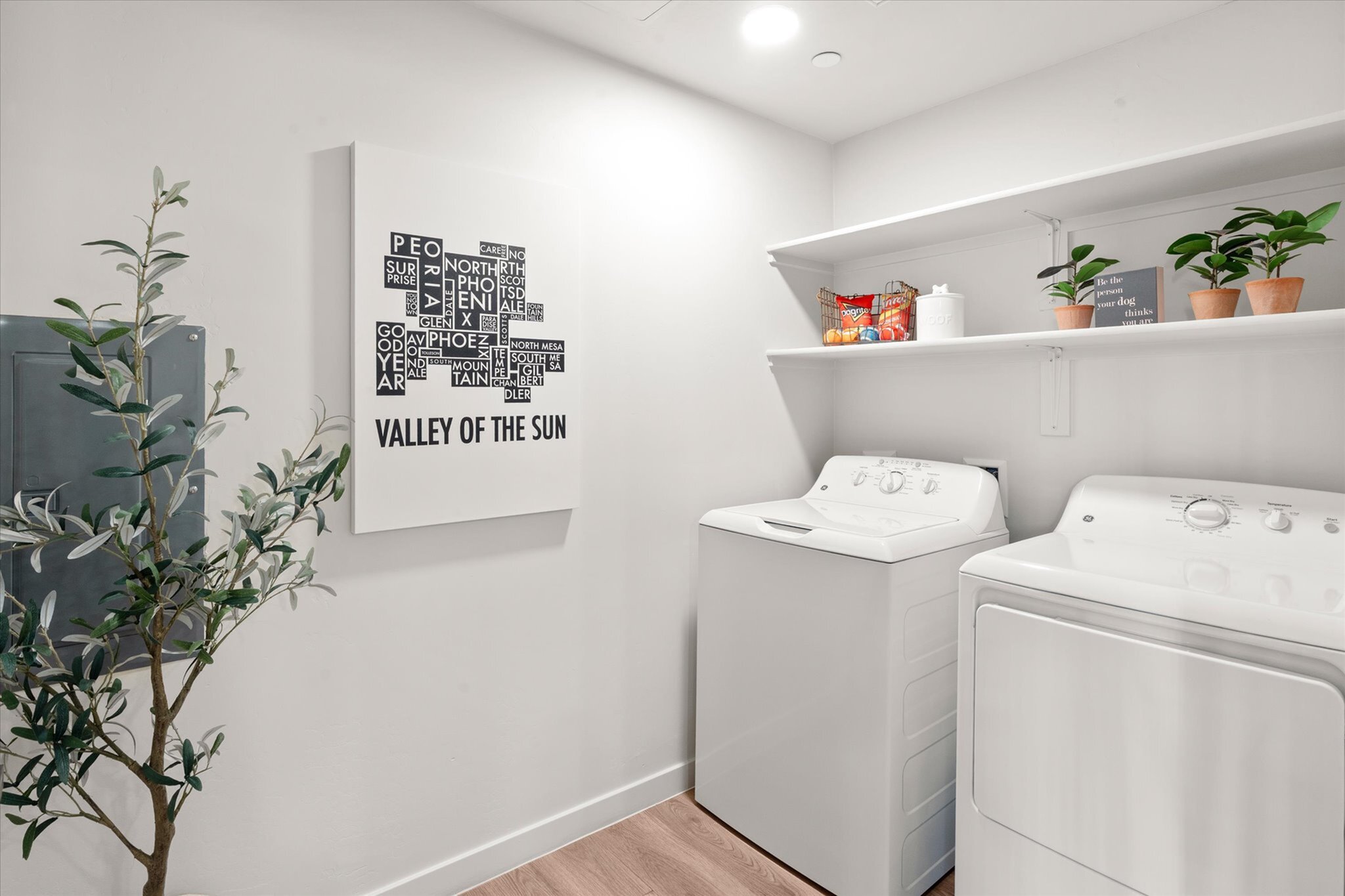 Bright and modern laundry room featuring a washer, dryer, decorative wall art, and stylish shelving with plants and essentials.