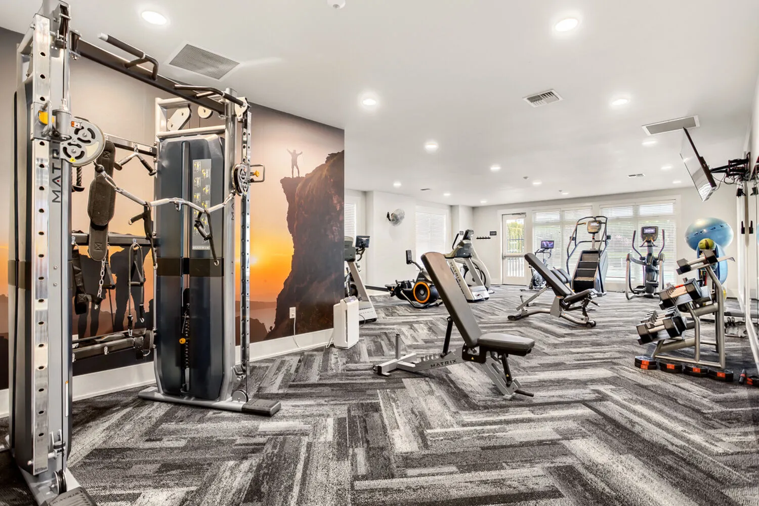 Modern fitness center with state-of-the-art exercise equipment and scenic wall mural, offering a bright and inviting workout atmosphere.