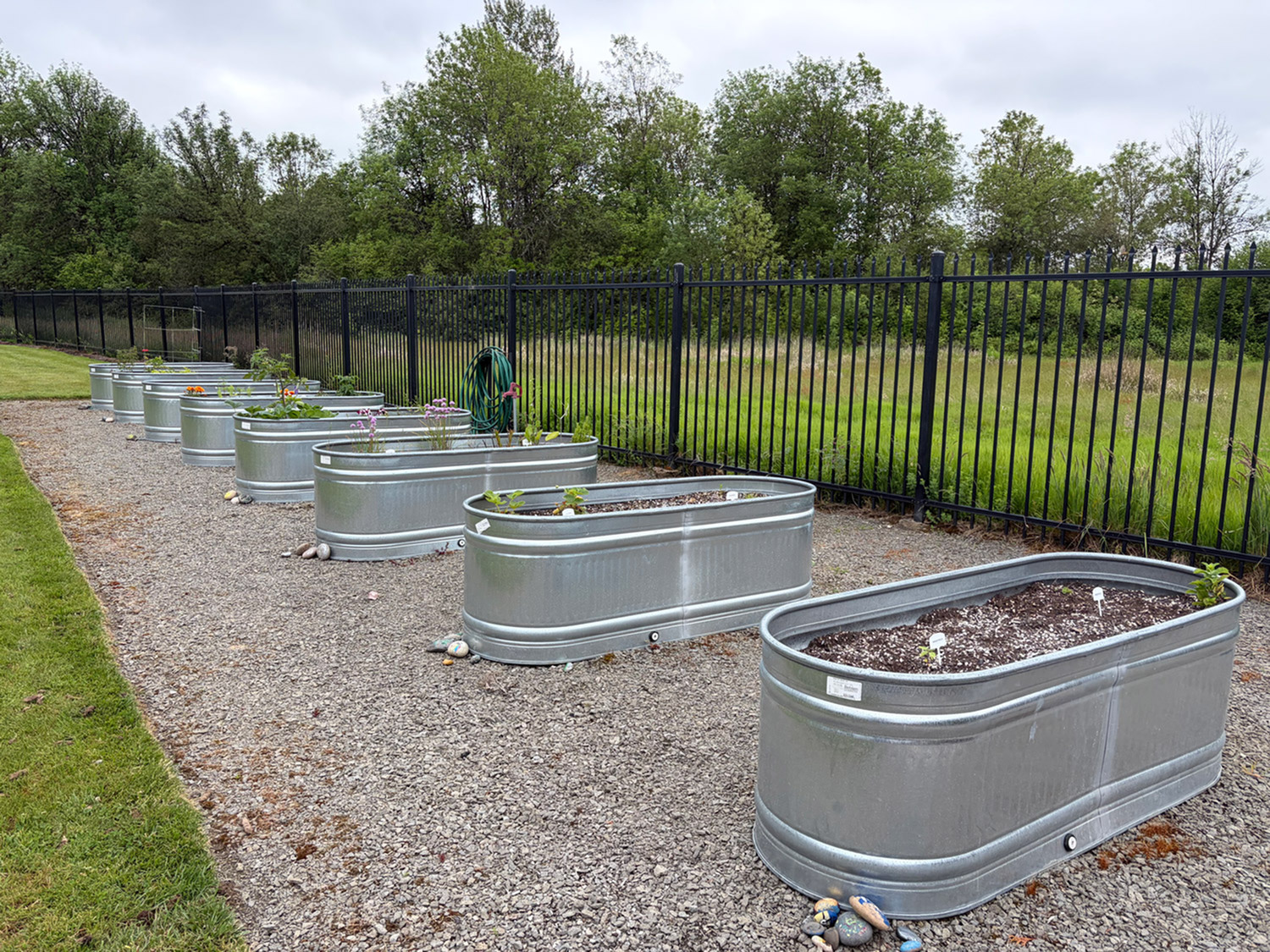 acero-ridgefield-community-garden