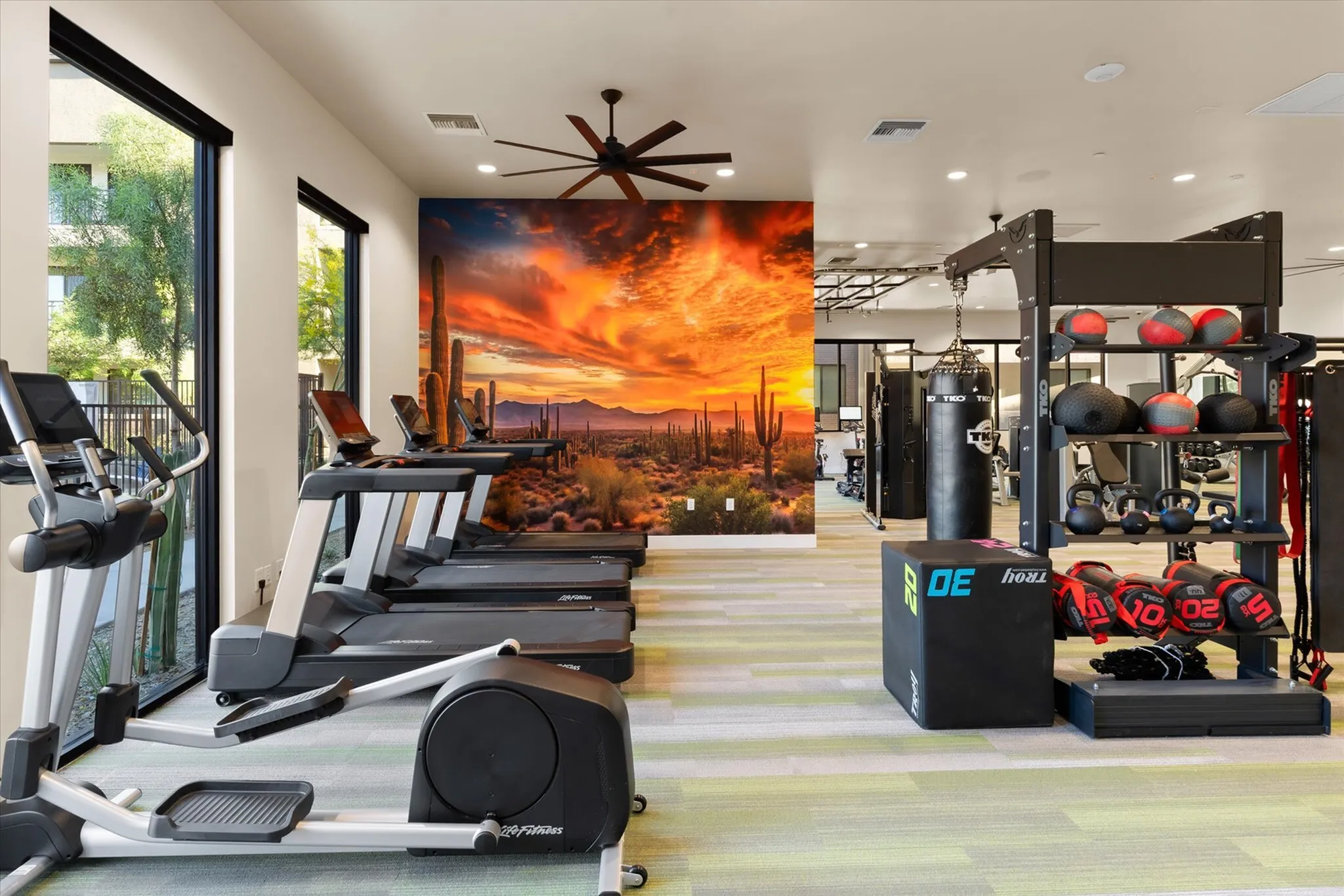 Modern fitness center with state-of-the-art equipment, featuring vibrant desert mural and spacious workout area.