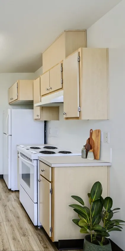 one bedroom apartment for rent