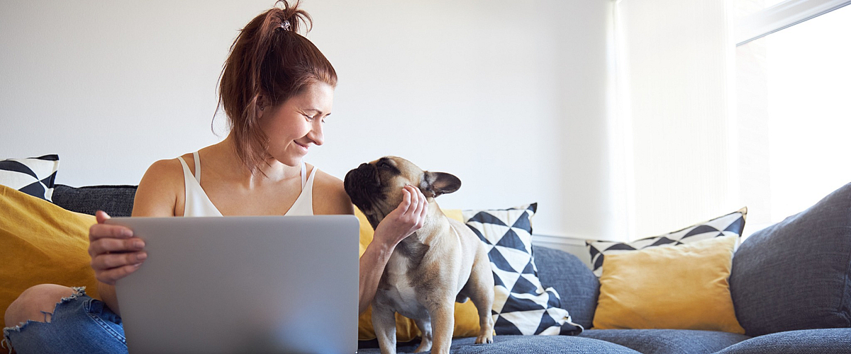 Cozy living room scene with a woman working on a laptop while playfully interacting with her dog on a stylish sofa.