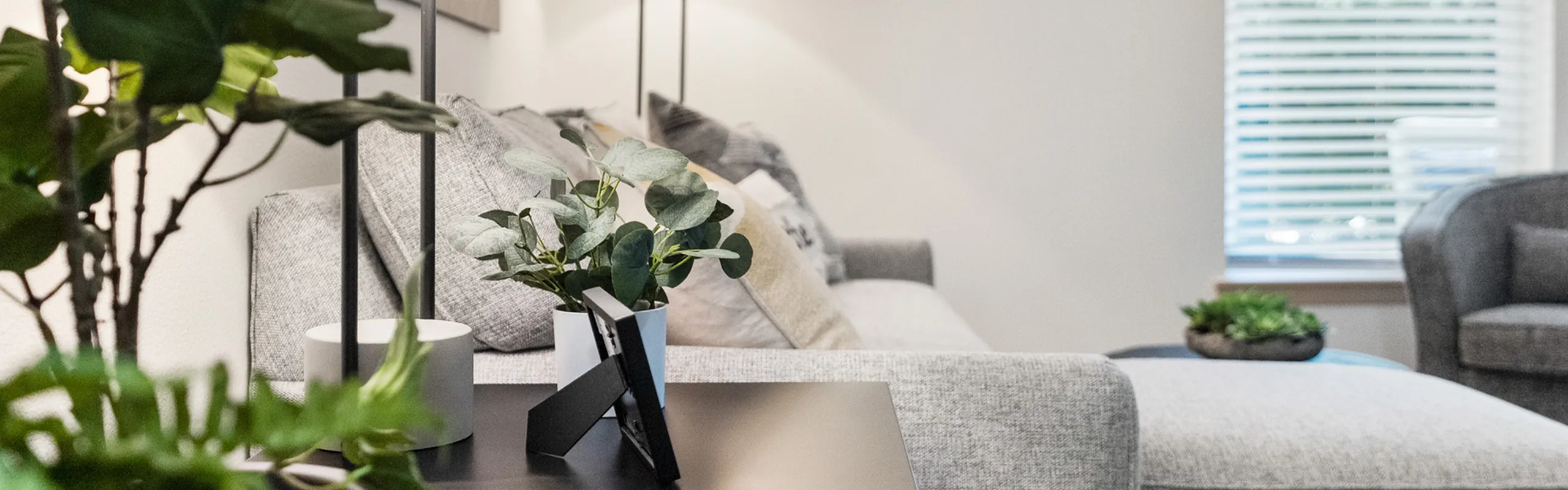 Modern living room with a cozy grey sofa, stylish cushions, and lush green plants, illuminated by natural light through the window blinds.