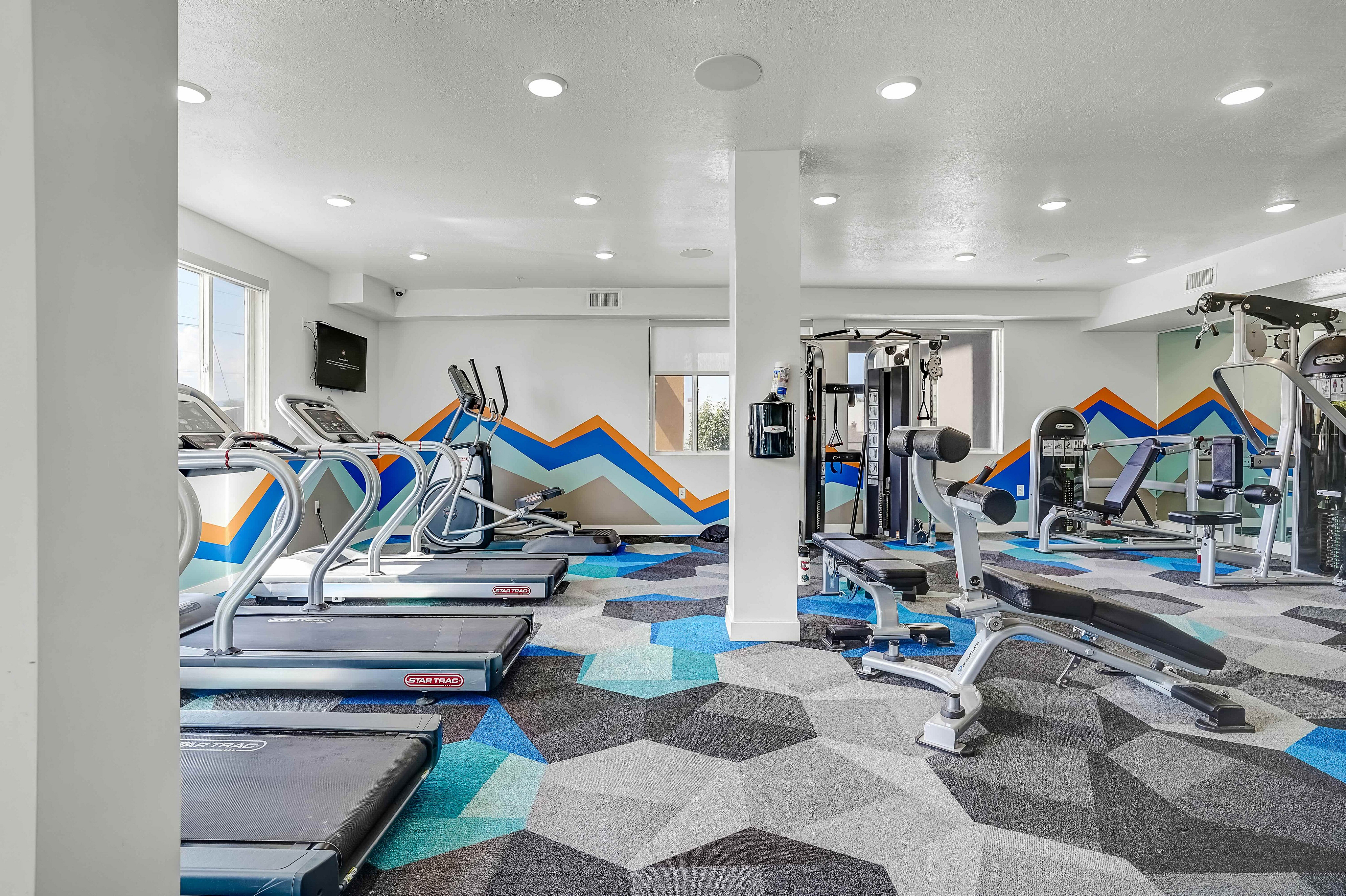 Modern apartment gym with colorful geometric carpet, treadmills, ellipticals, and versatile strength training equipment.