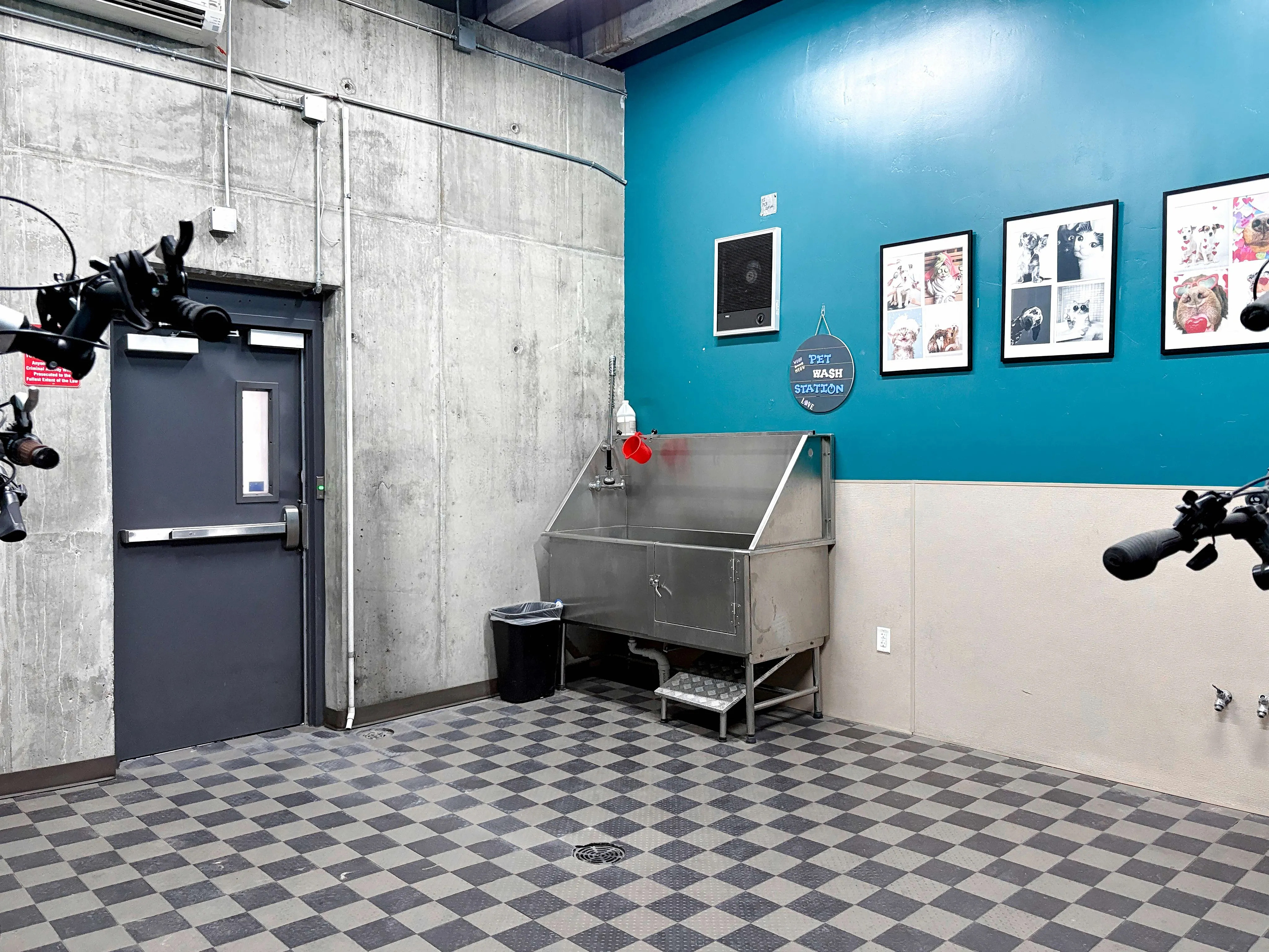 Modern pet wash station in an apartment\'s utility room with vibrant teal and concrete walls, equipped with a stainless steel wash area and stylish pet-themed decor.