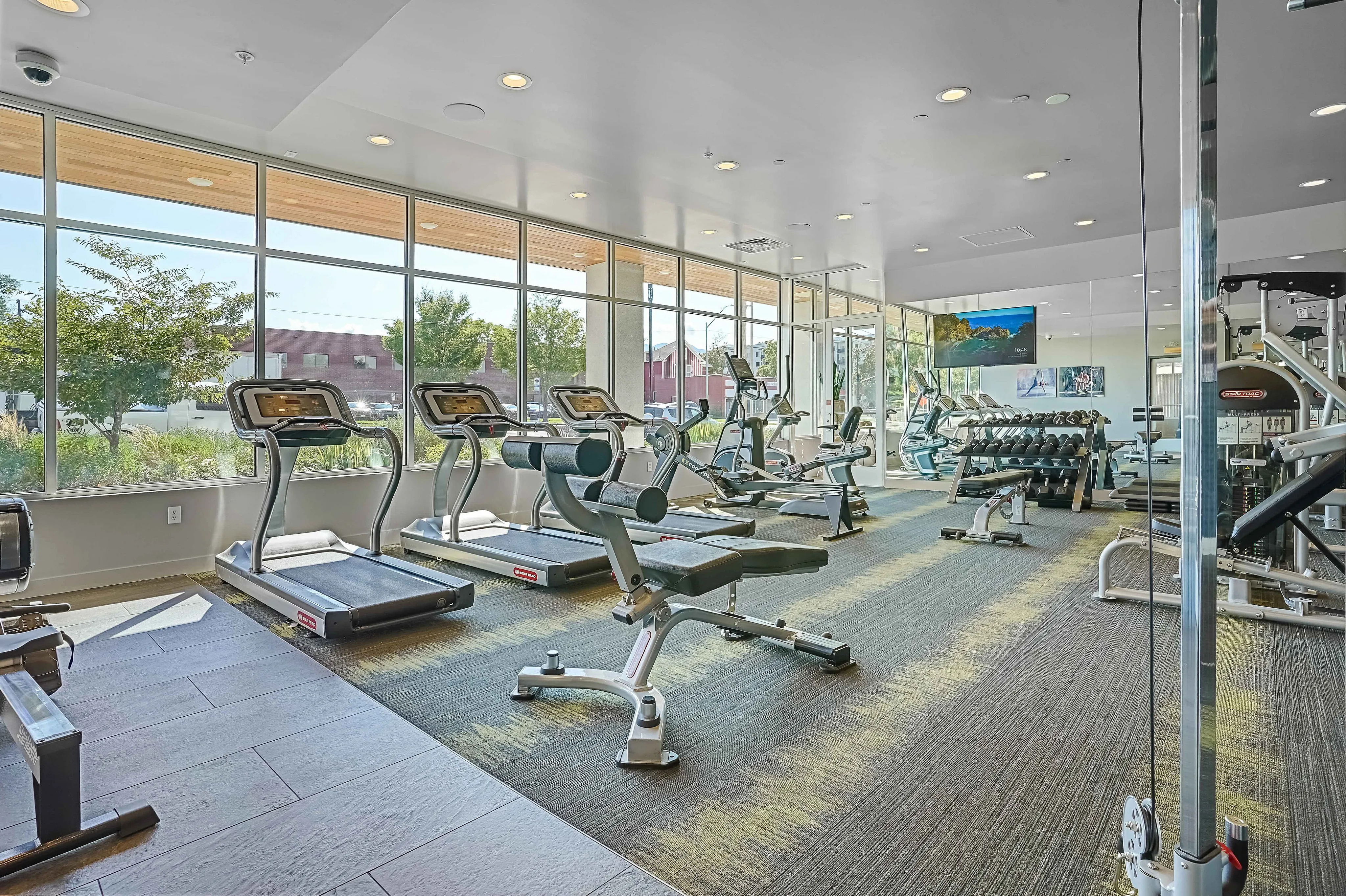 Bright, modern gym with state-of-the-art treadmills, weight machines, and large windows overlooking scenic views.