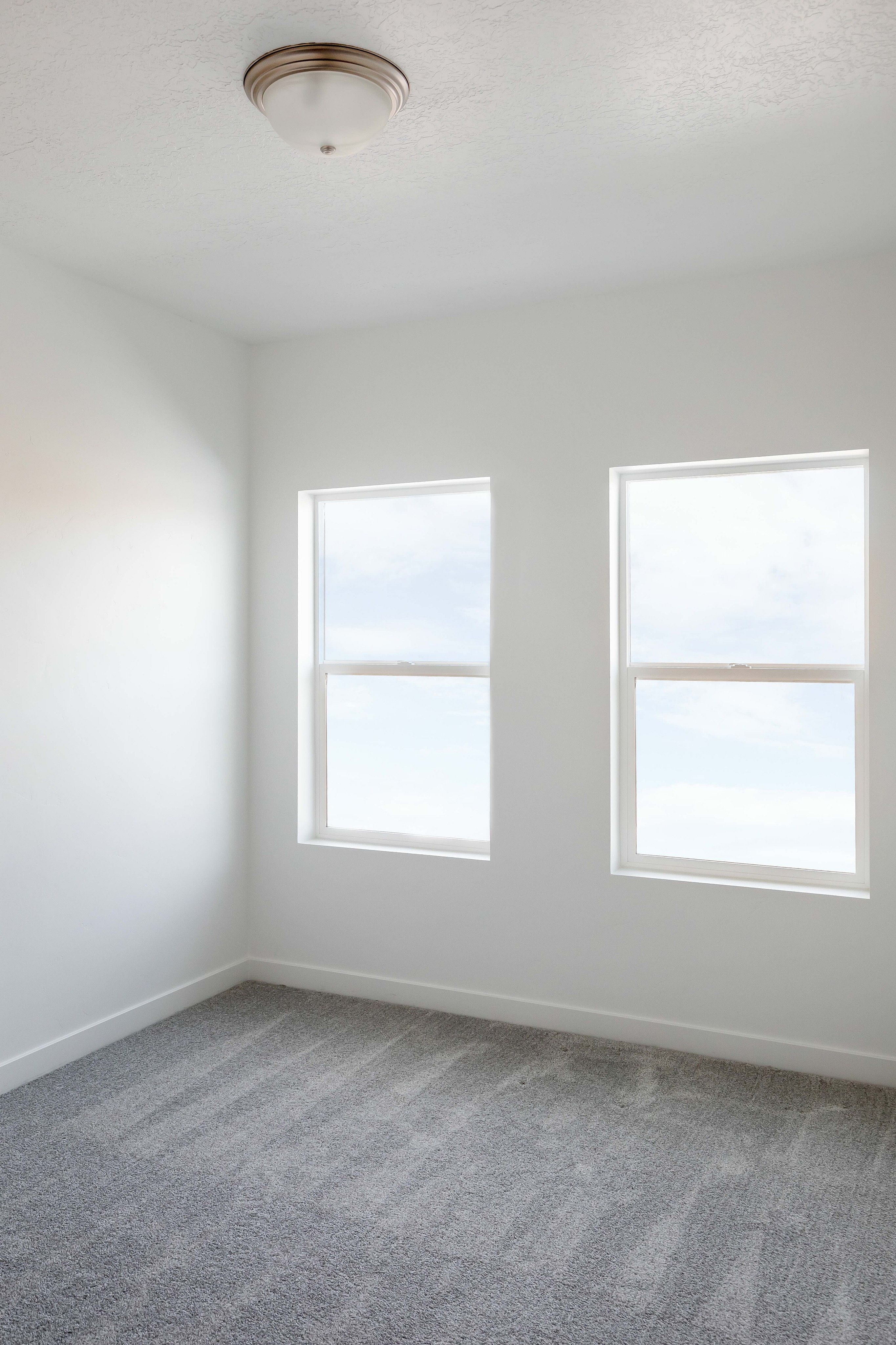 Bright, contemporary room with plush carpeting and two large windows flooding the space with natural light.