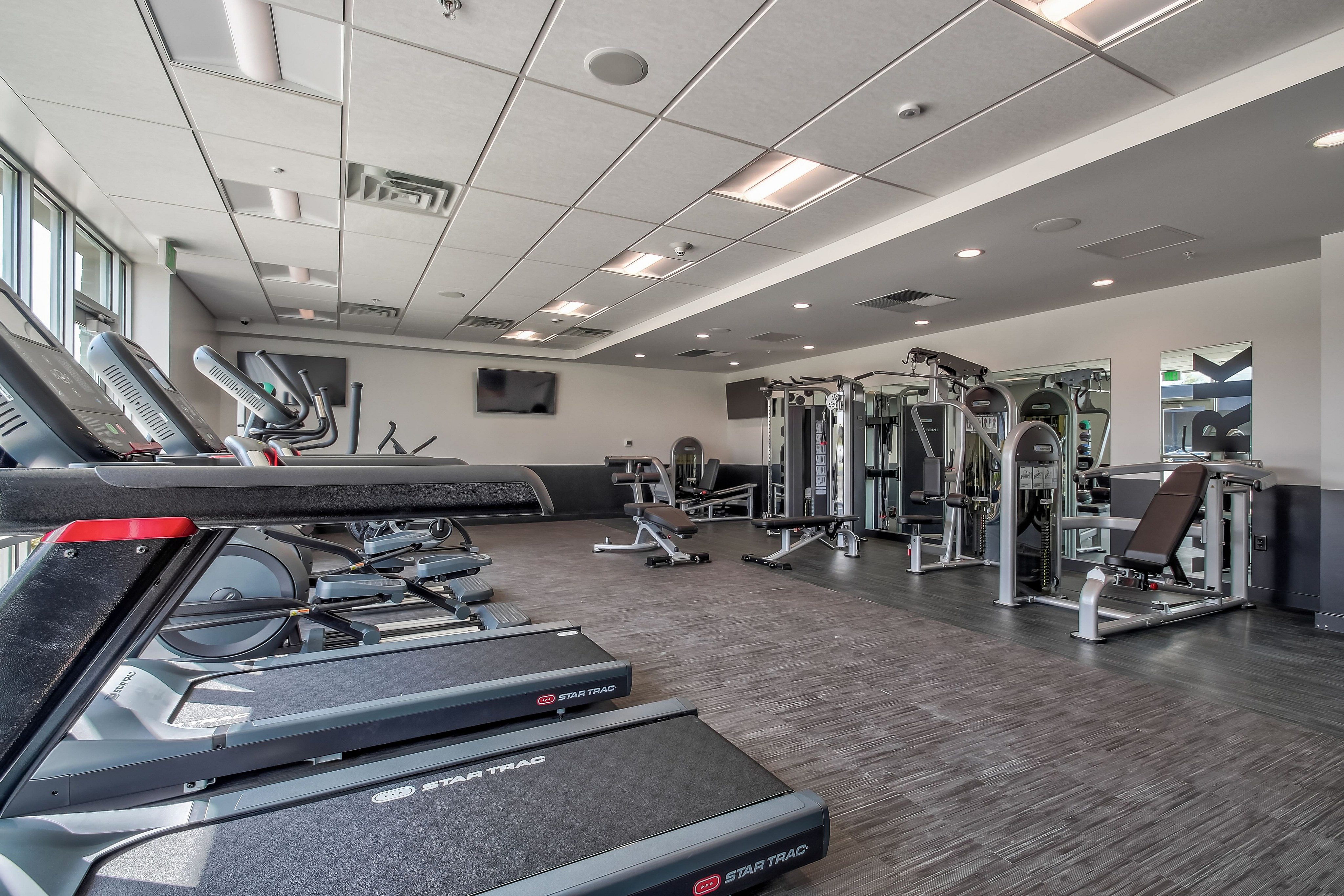 Modern fitness center with state-of-the-art treadmills, elliptical machines, and weight training equipment, flooded with natural light from large windows.