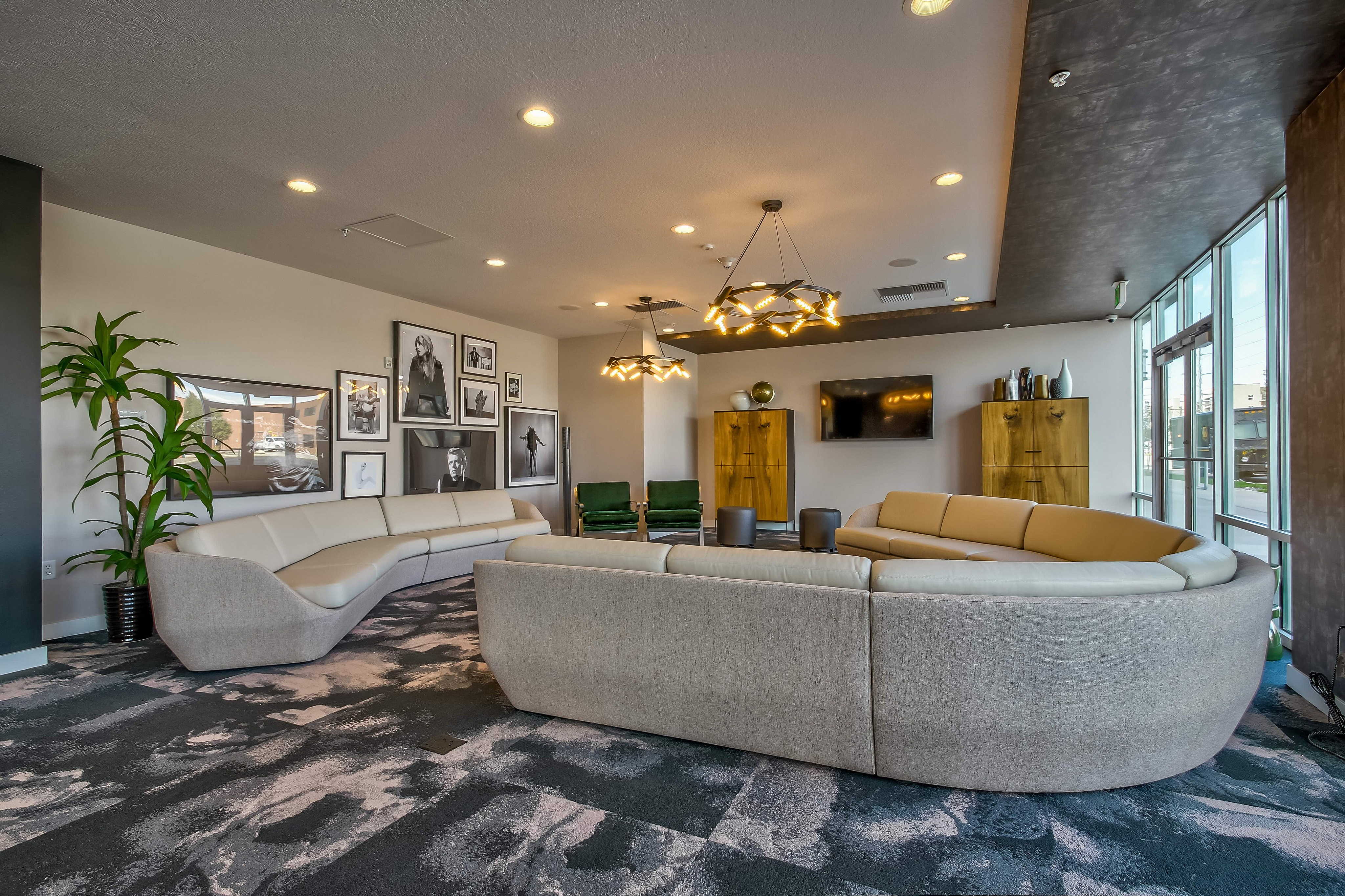 Modern living room with elegant curved sofas, artistic wall photos, and stylish chandeliers in a bright, spacious setting.