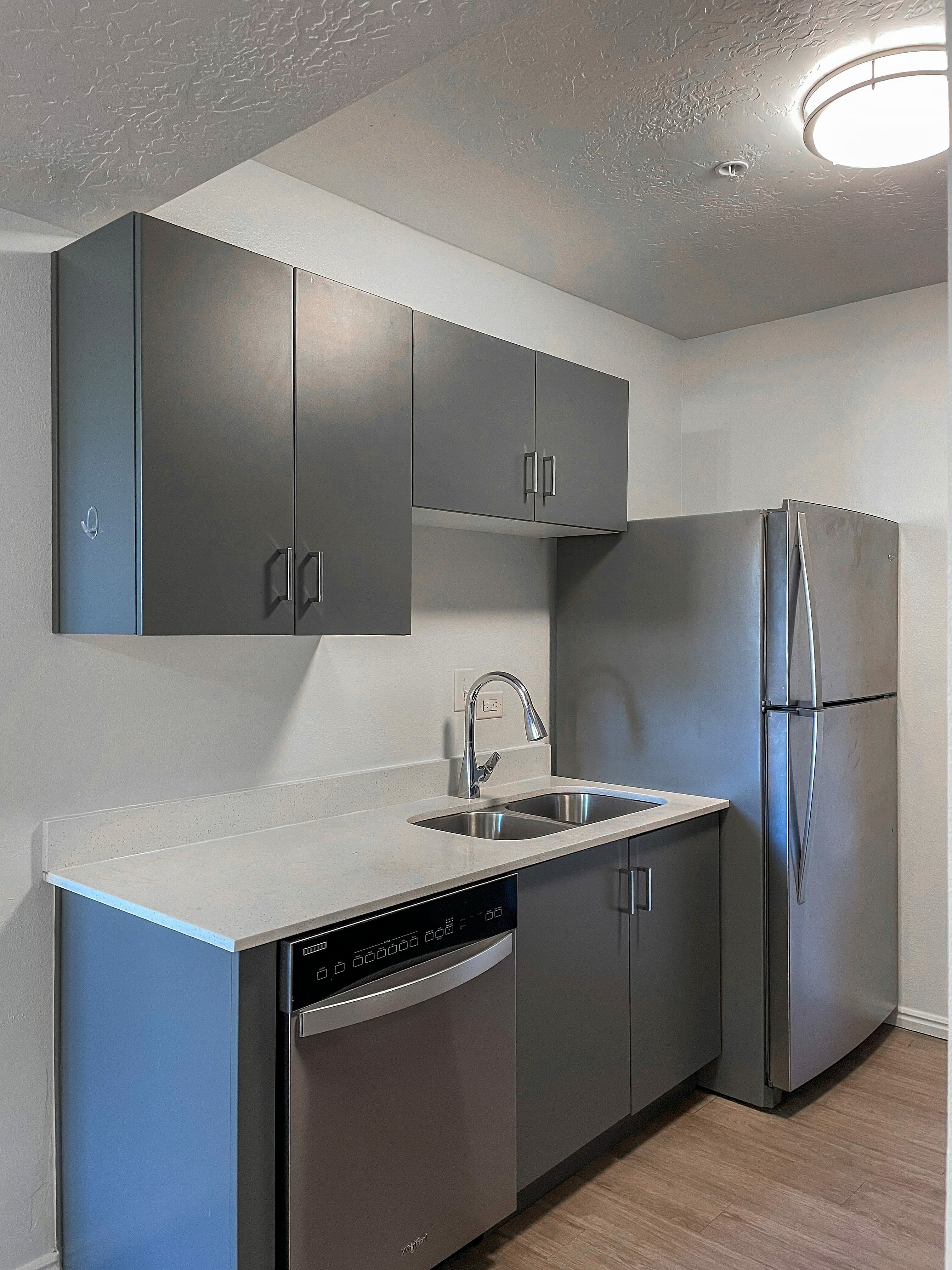 Modern kitchen with sleek grey cabinets, stainless steel fridge, and integrated dishwasher under a bright ceiling light.