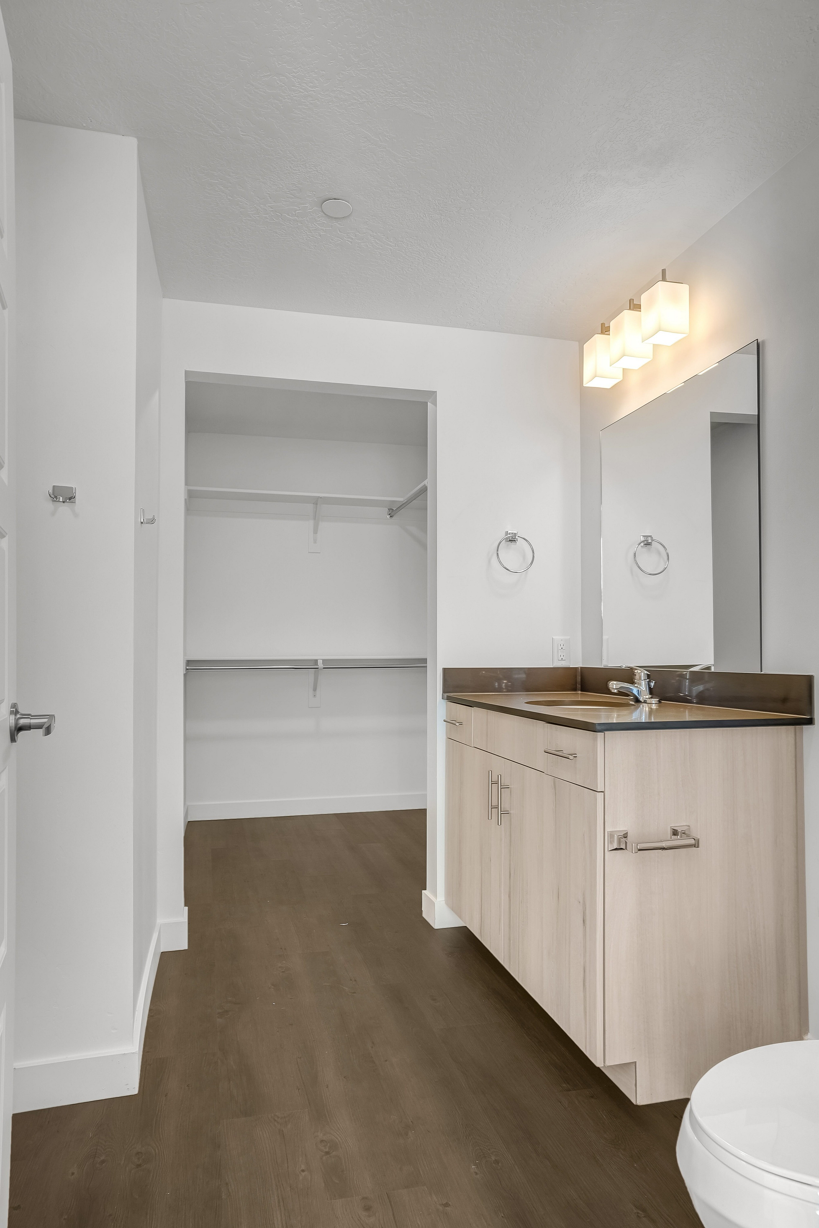 Modern bathroom showcasing sleek wood flooring, spacious walk-in closet, contemporary lighting, and elegant vanity sink for a luxurious living experience.