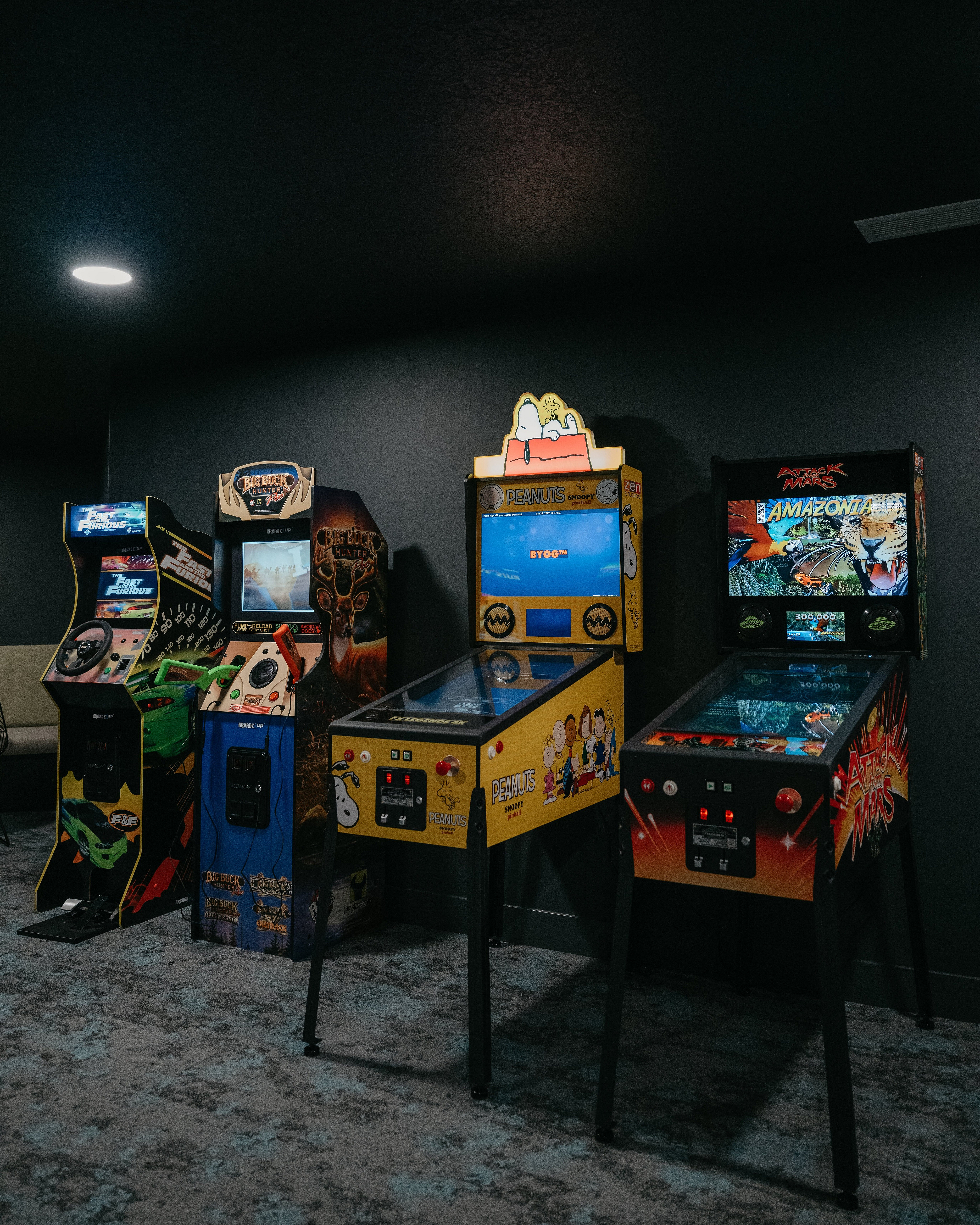 Chic entertainment room featuring vibrant arcade game machines and pinball for ultimate relaxation and fun.