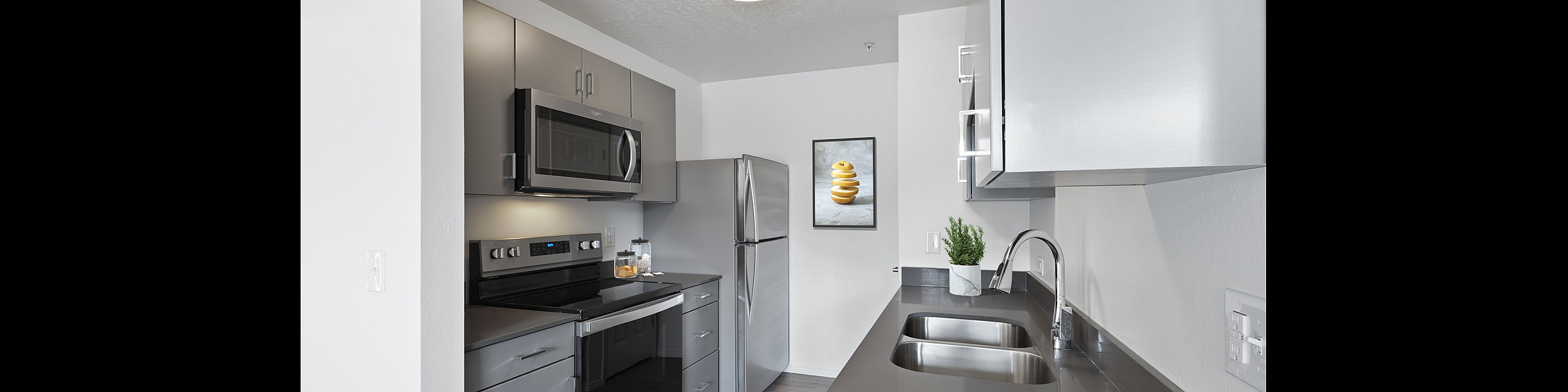 Sleek modern kitchen with stainless steel appliances, stylish cabinetry, and elegant countertops.