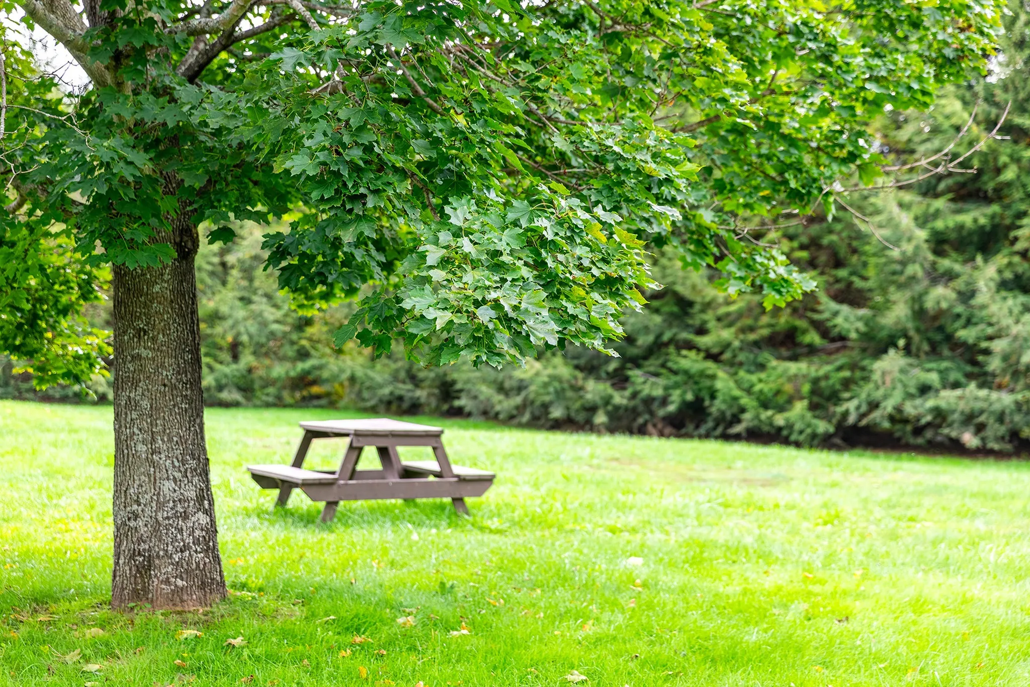 Beautifully Landscaped Grounds