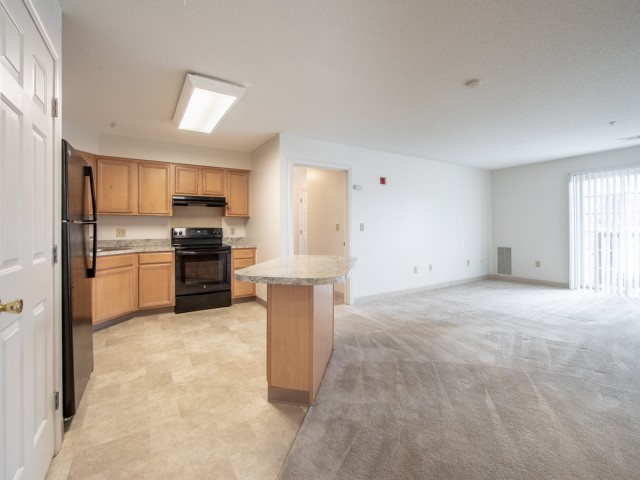 Carpet in living spaces