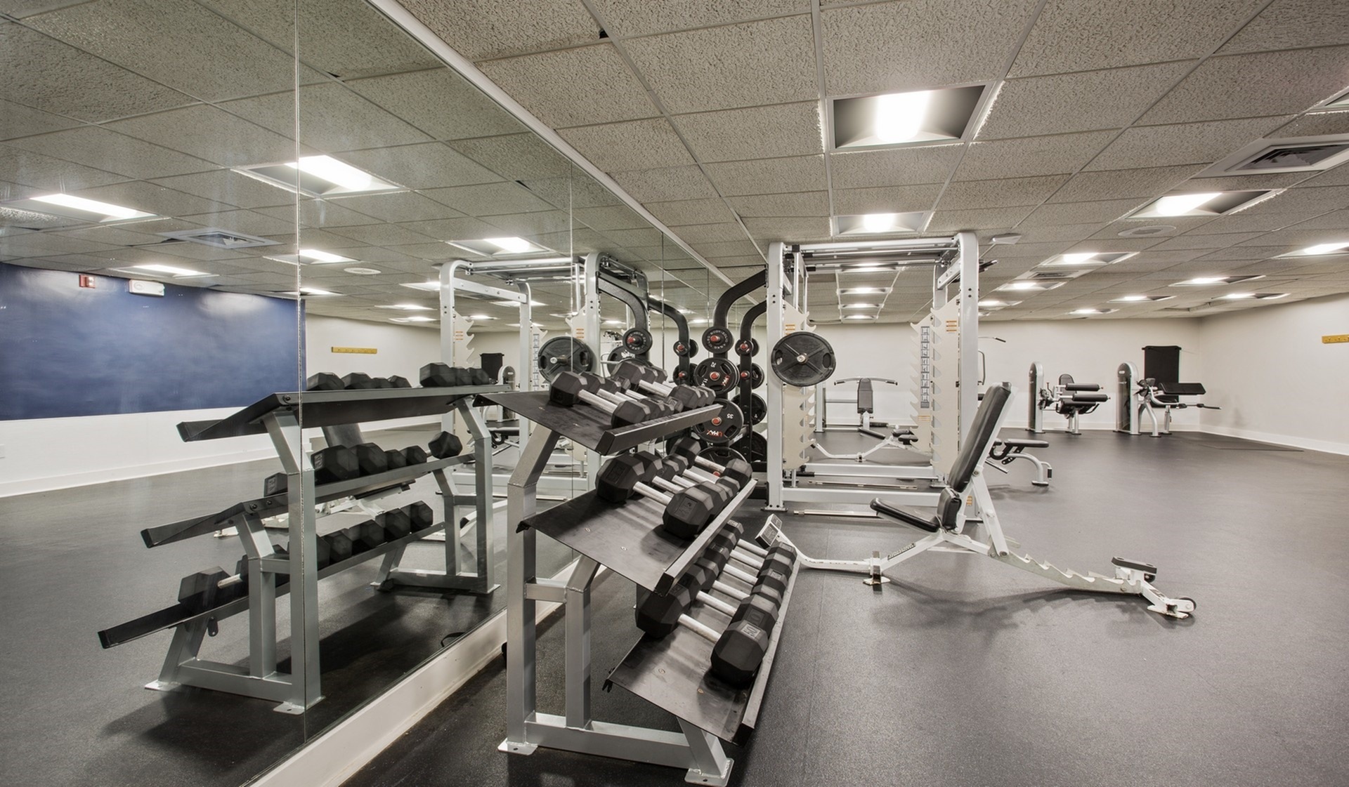 Spacious and modern fitness center with state-of-the-art equipment, including free weights, benches, and weight racks, perfect for all your workout needs.